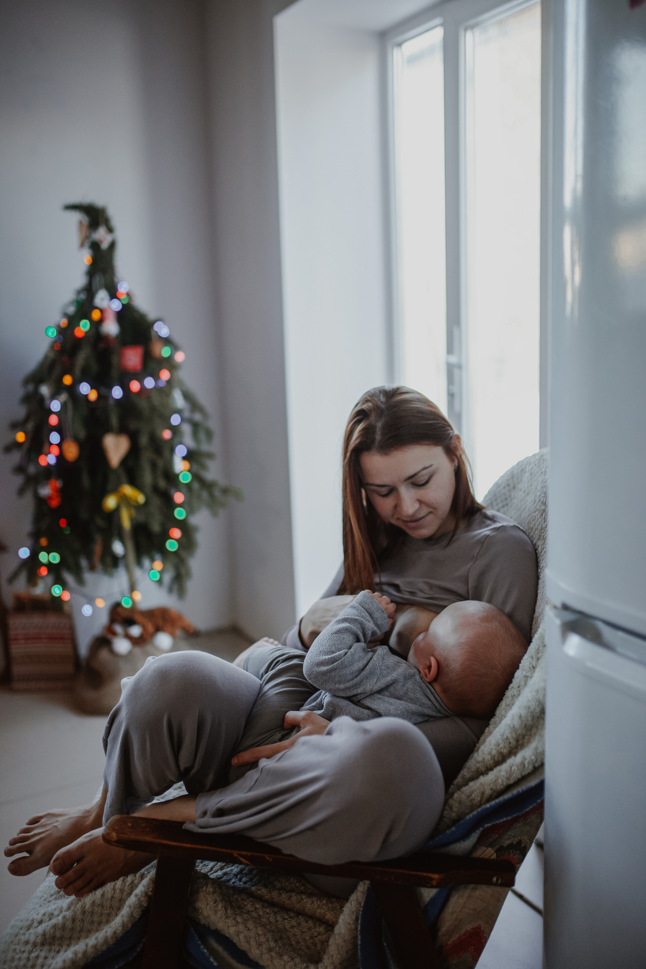 Рождественские каникулы в семье Заколодкиных. Главная