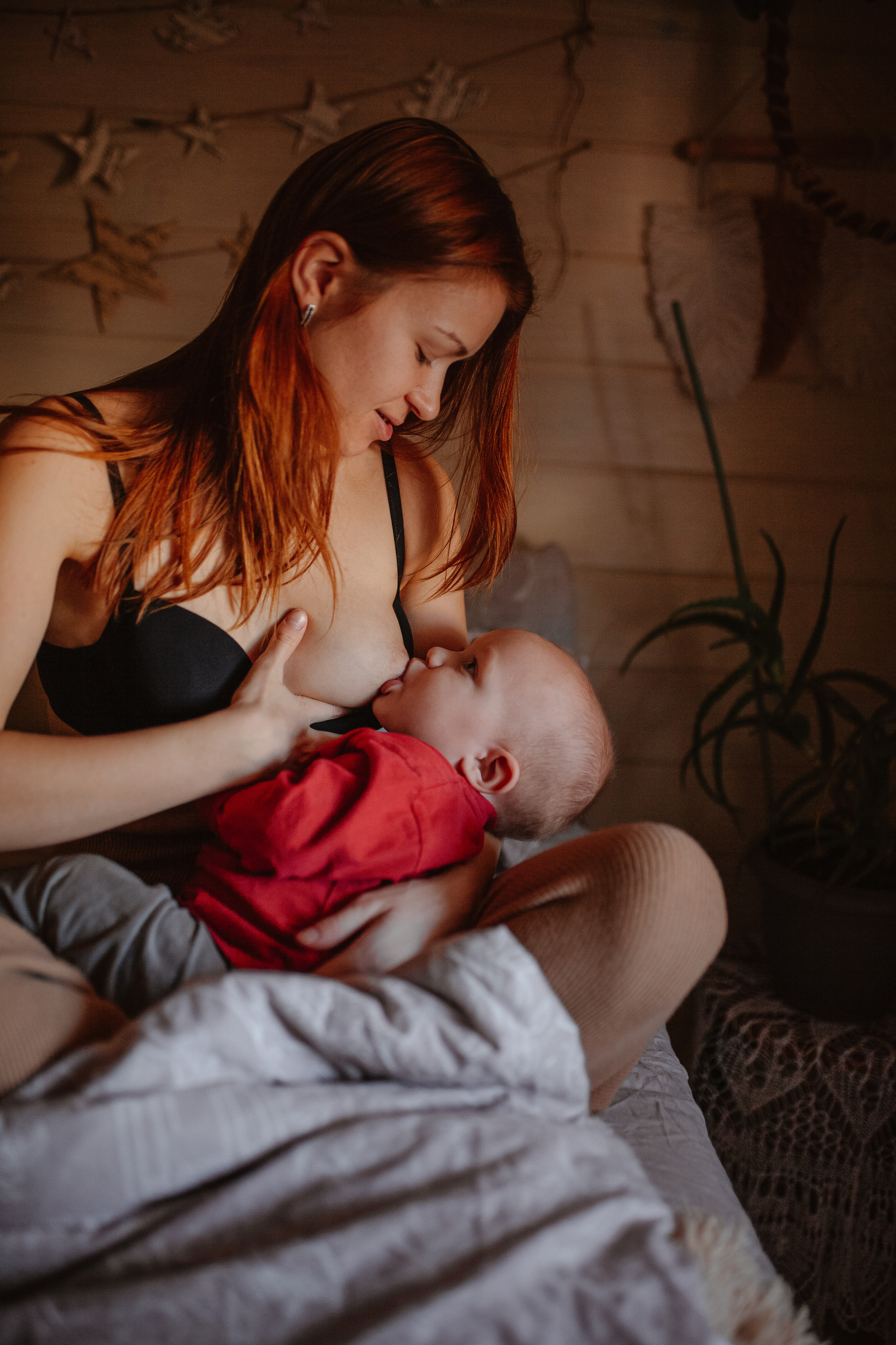 Рождественские каникулы в семье Заколодкиных. Главная