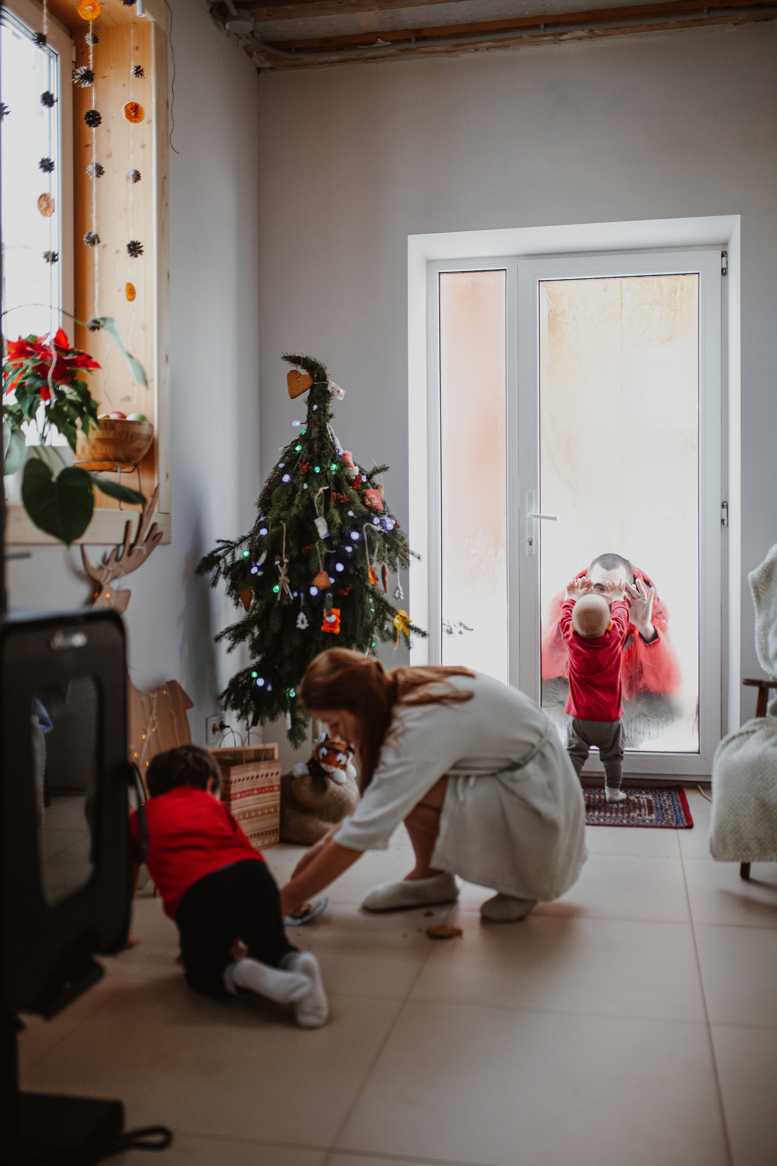 Рождественские каникулы в семье Заколодкиных. Главная