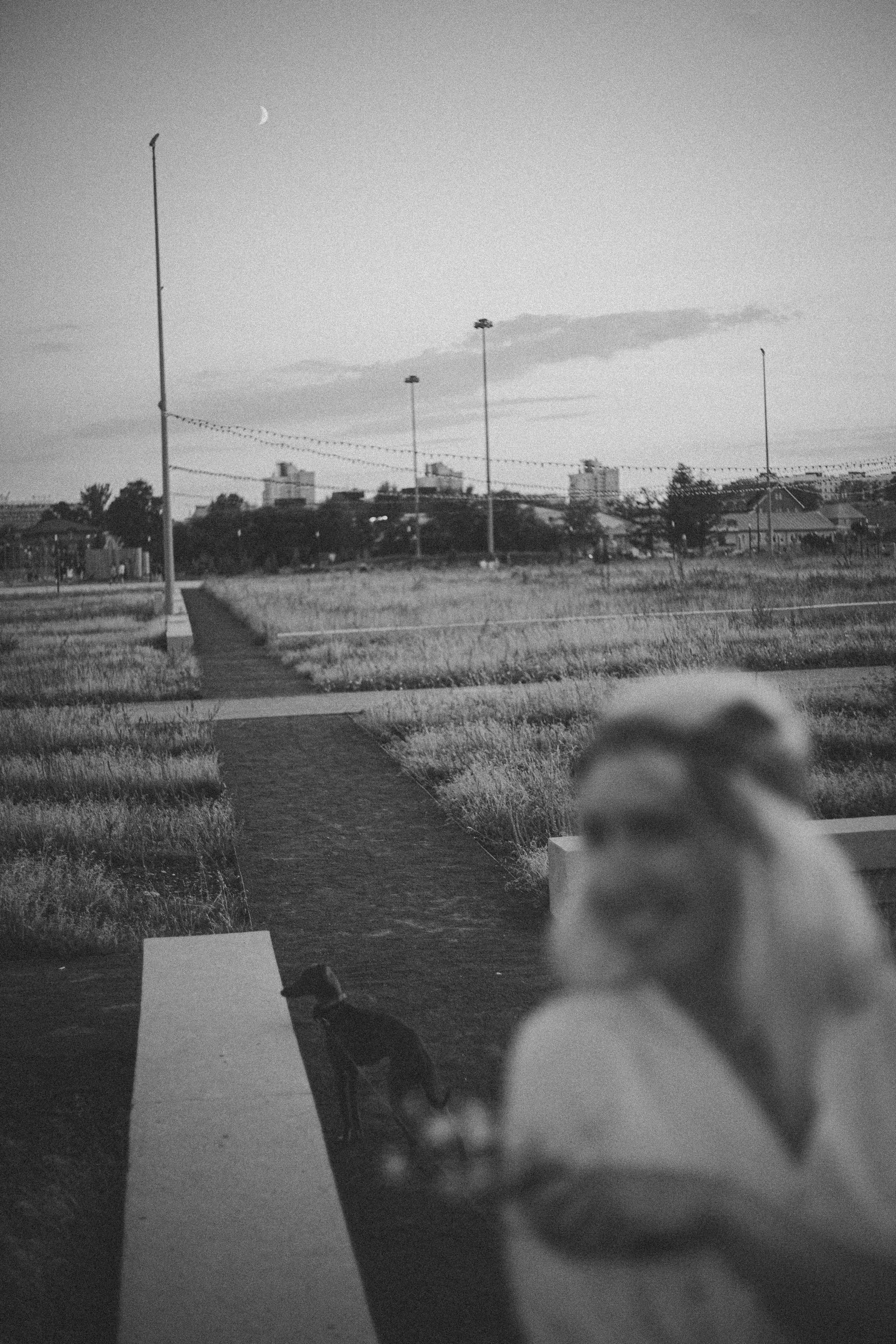 Светлана и Гарри. Главная