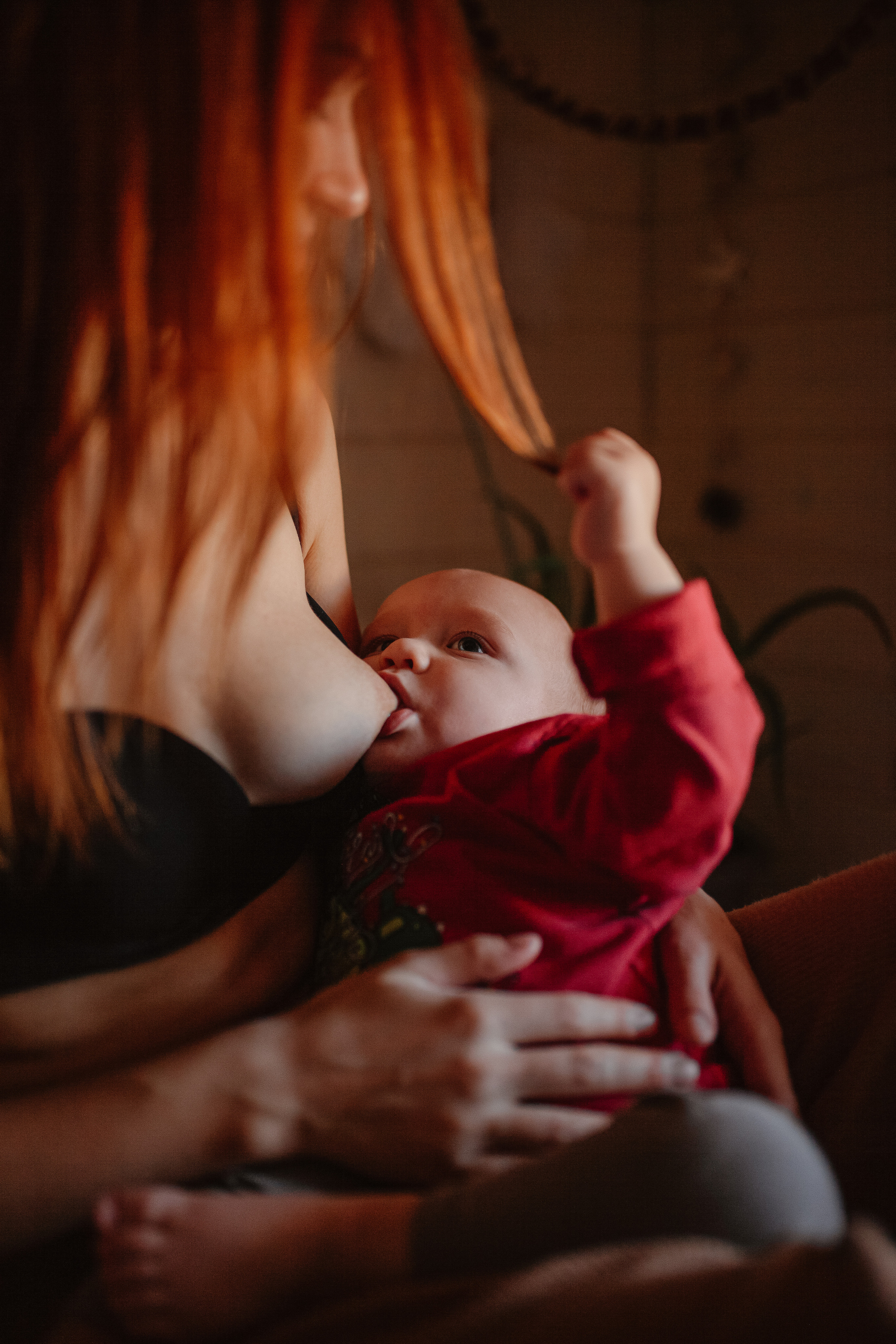 Рождественские каникулы в семье Заколодкиных. Главная