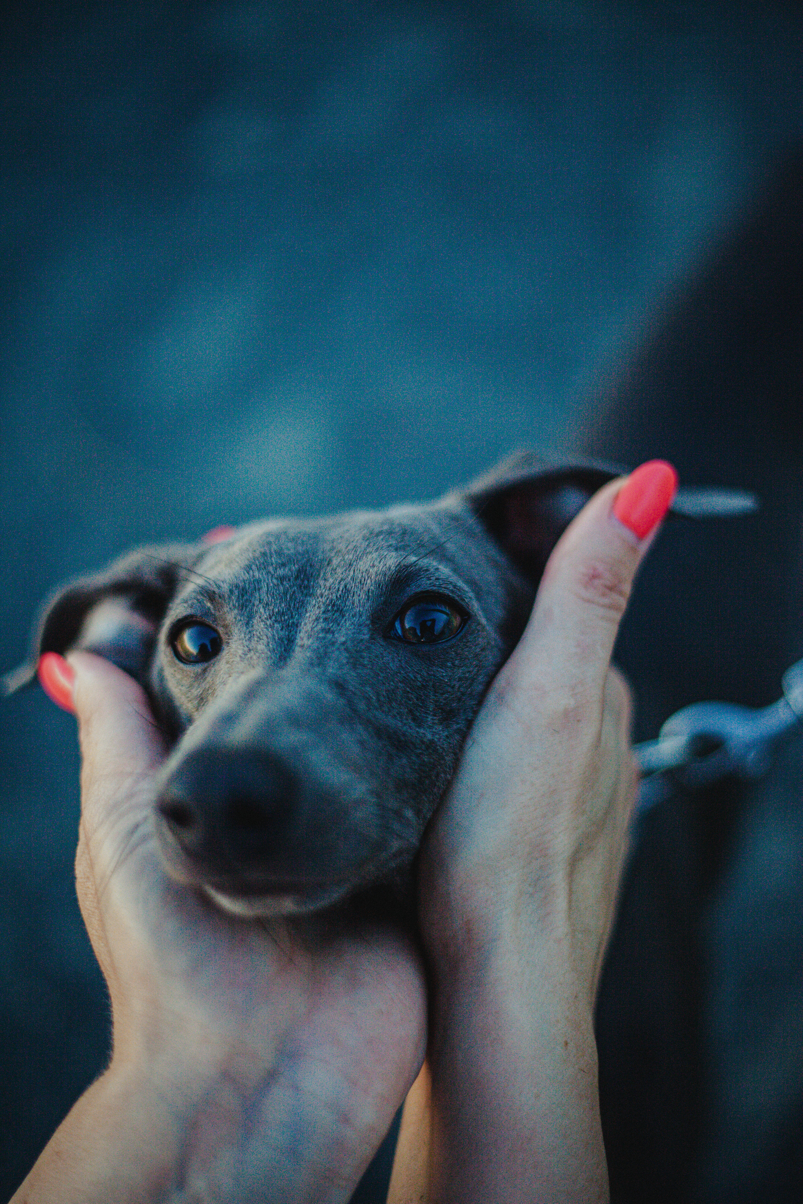 Светлана и Гарри. Главная