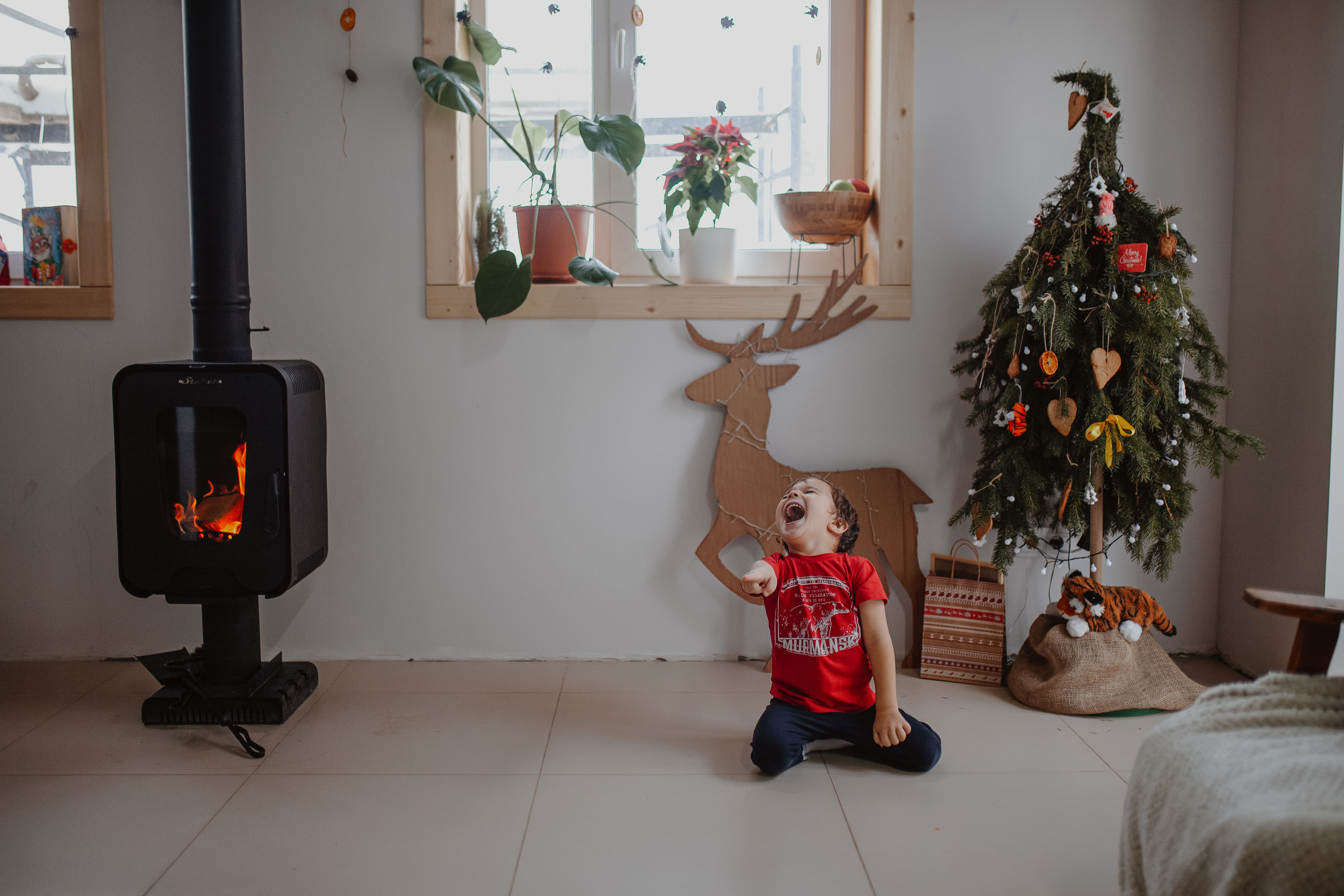 Рождественские каникулы в семье Заколодкиных. Главная