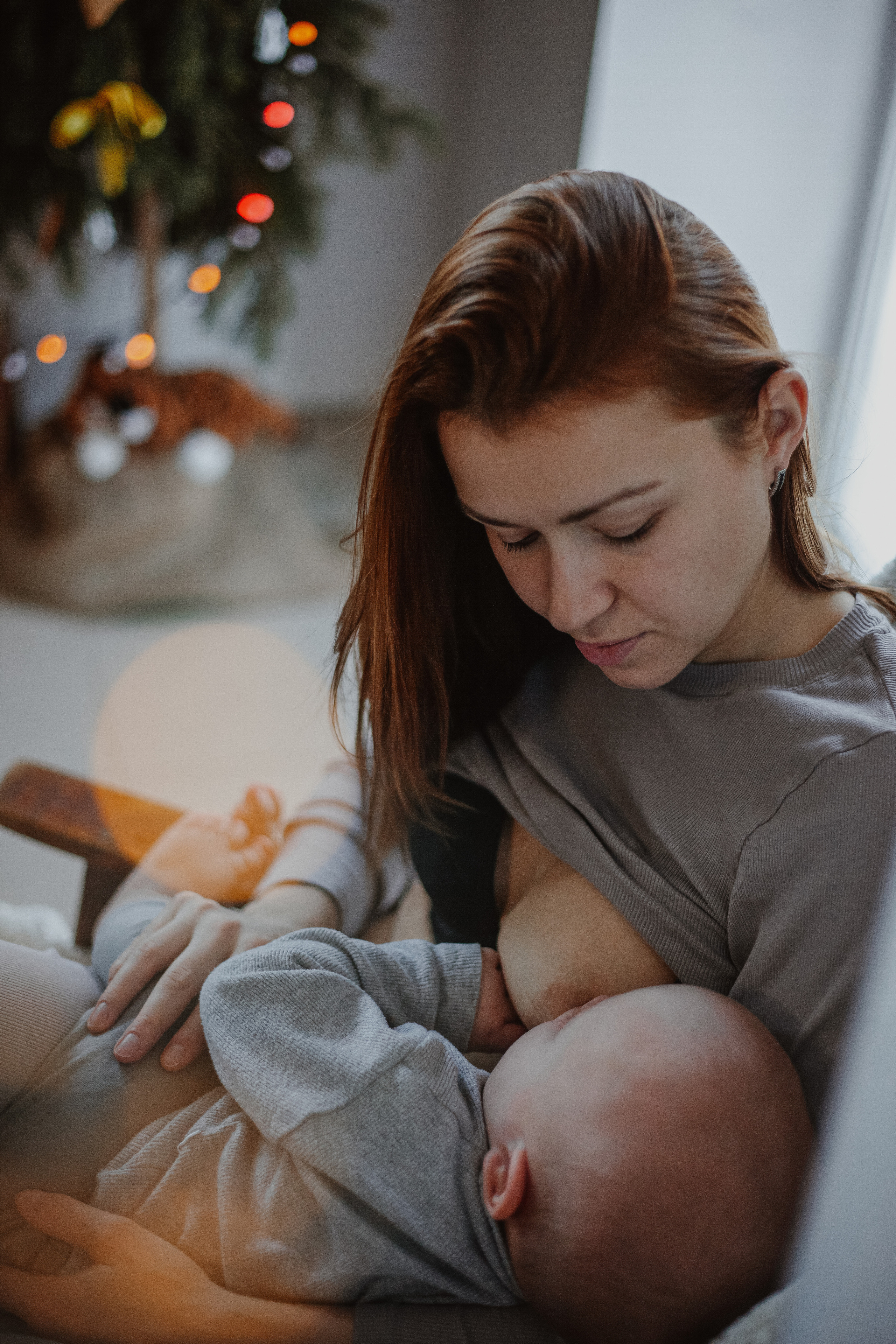 Рождественские каникулы в семье Заколодкиных. Главная