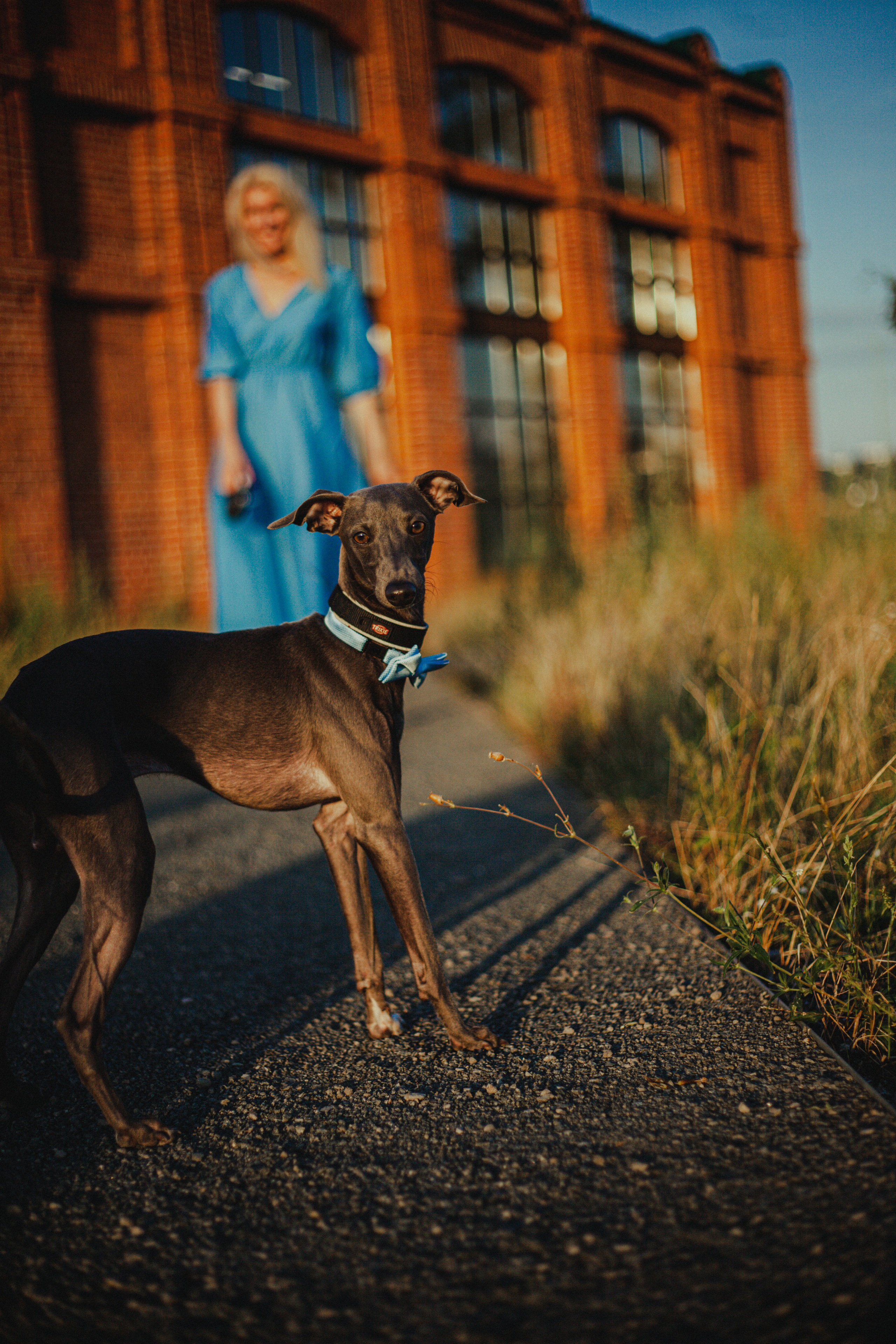 Светлана и Гарри. Главная