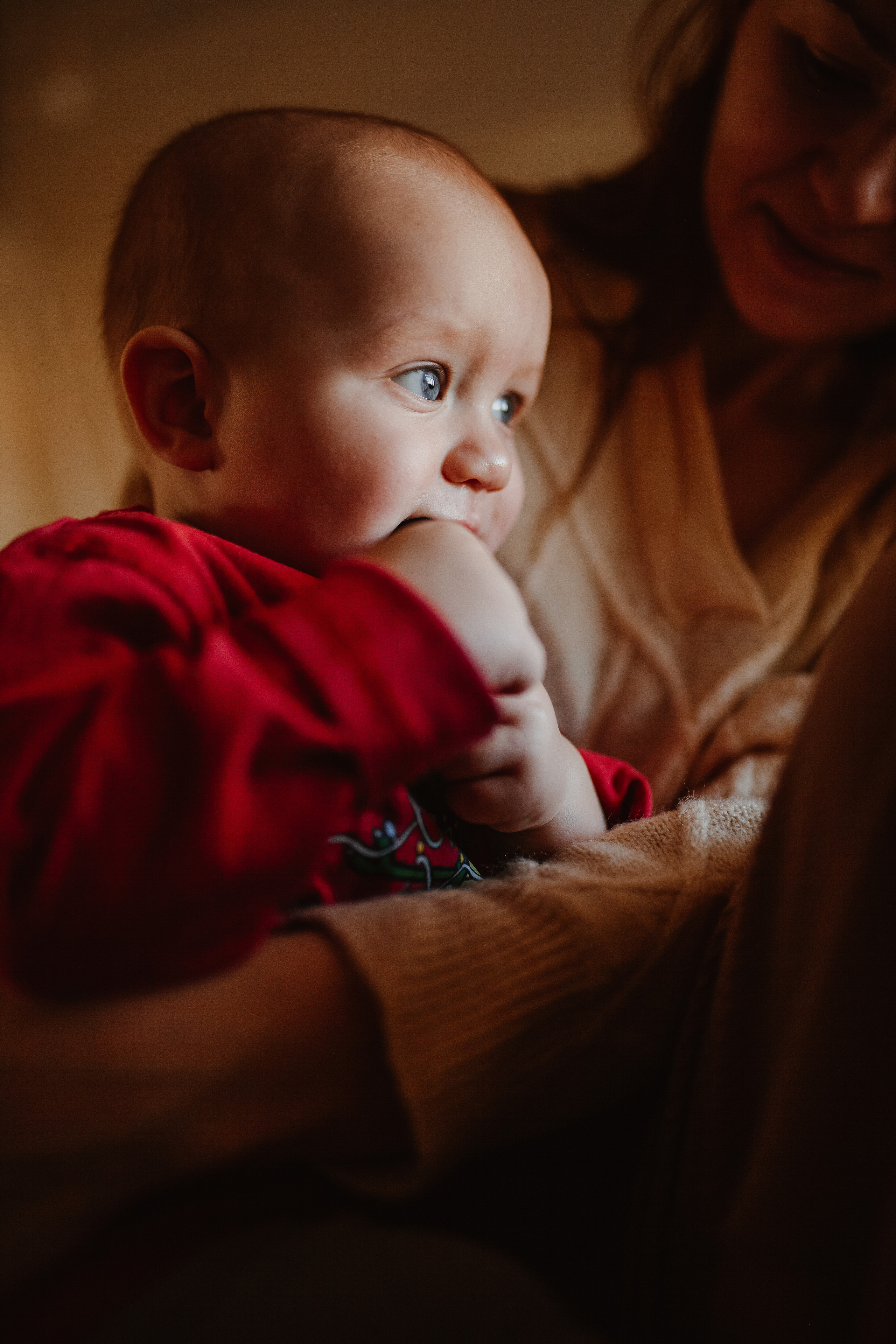 Рождественские каникулы в семье Заколодкиных. Главная