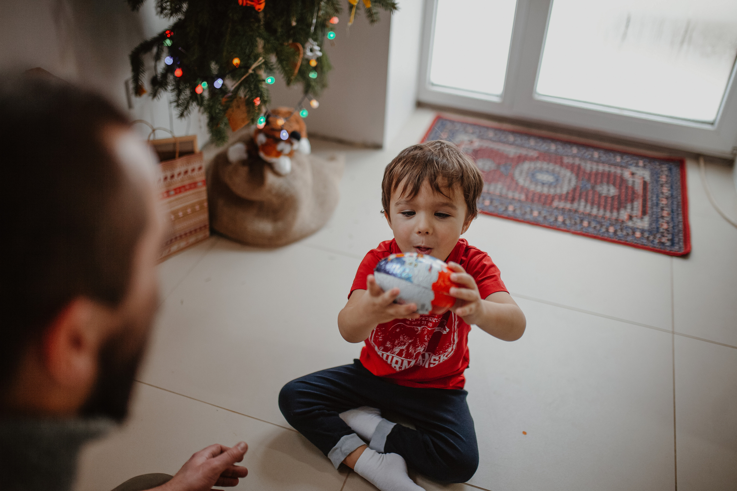 Рождественские каникулы в семье Заколодкиных. Главная
