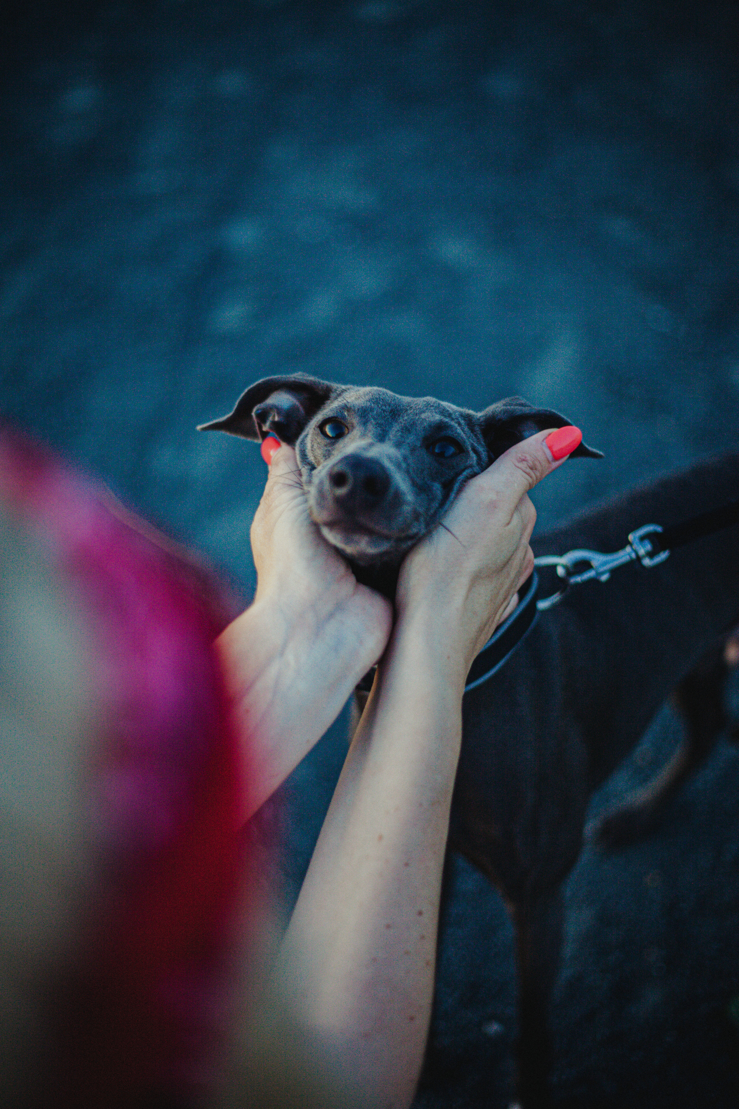 Светлана и Гарри. Главная
