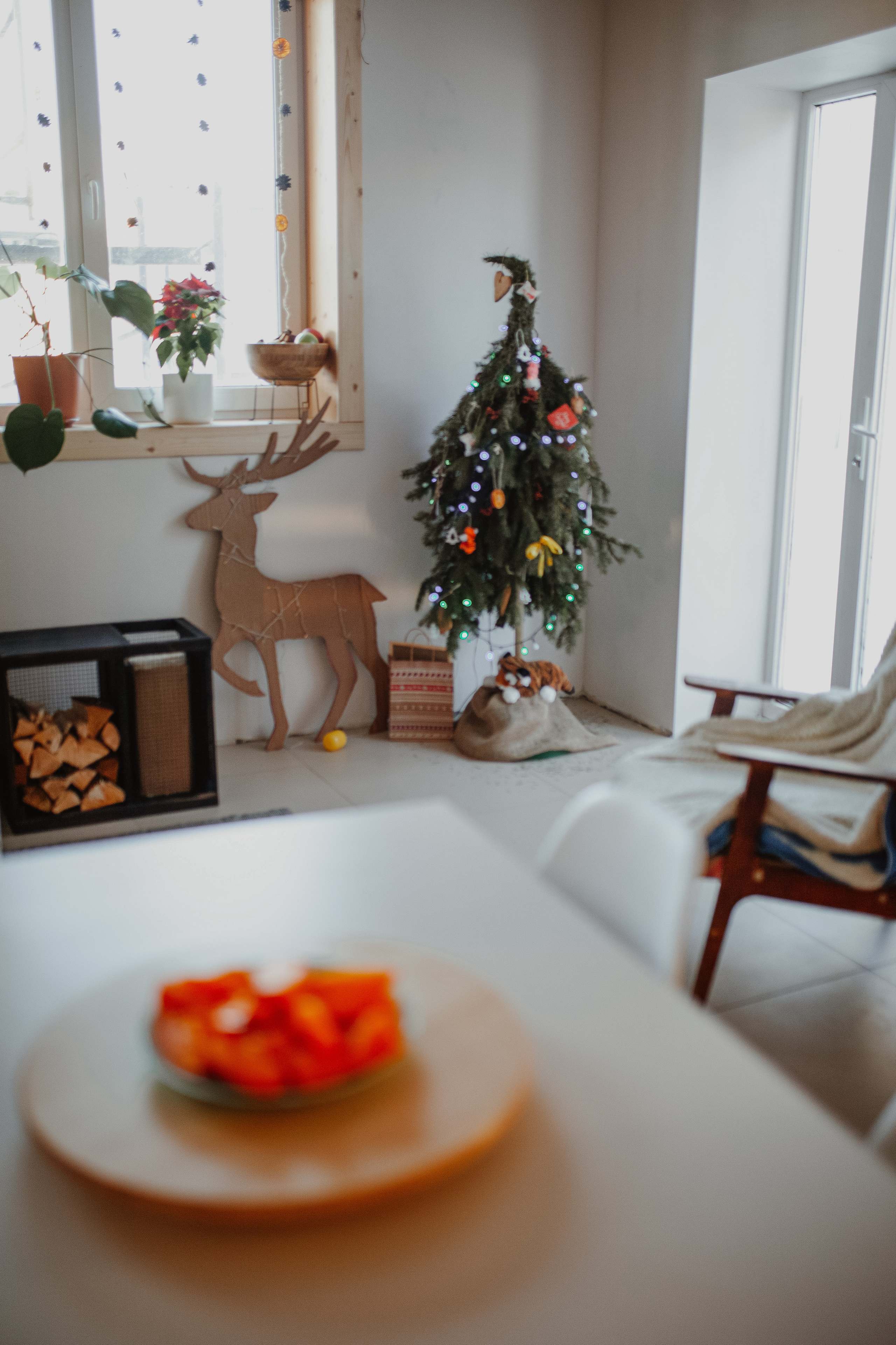 Рождественские каникулы в семье Заколодкиных. Главная