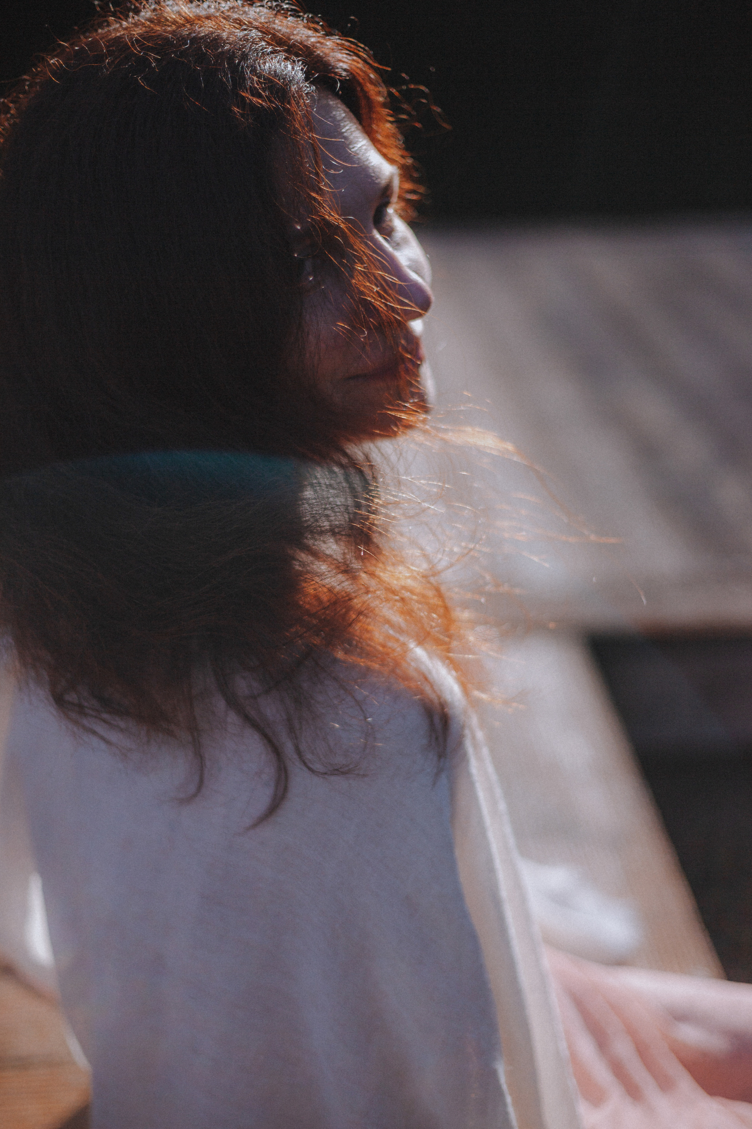 Елена на Щелковском хуторе. Главная