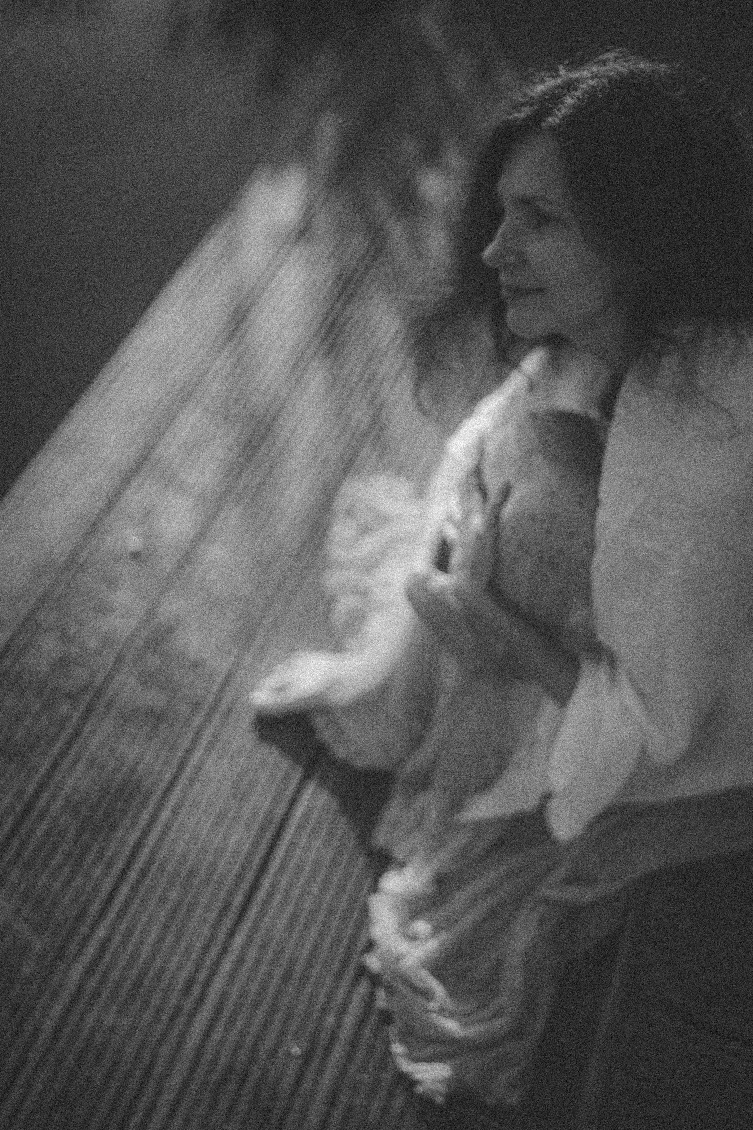 Елена на Щелковском хуторе. Главная