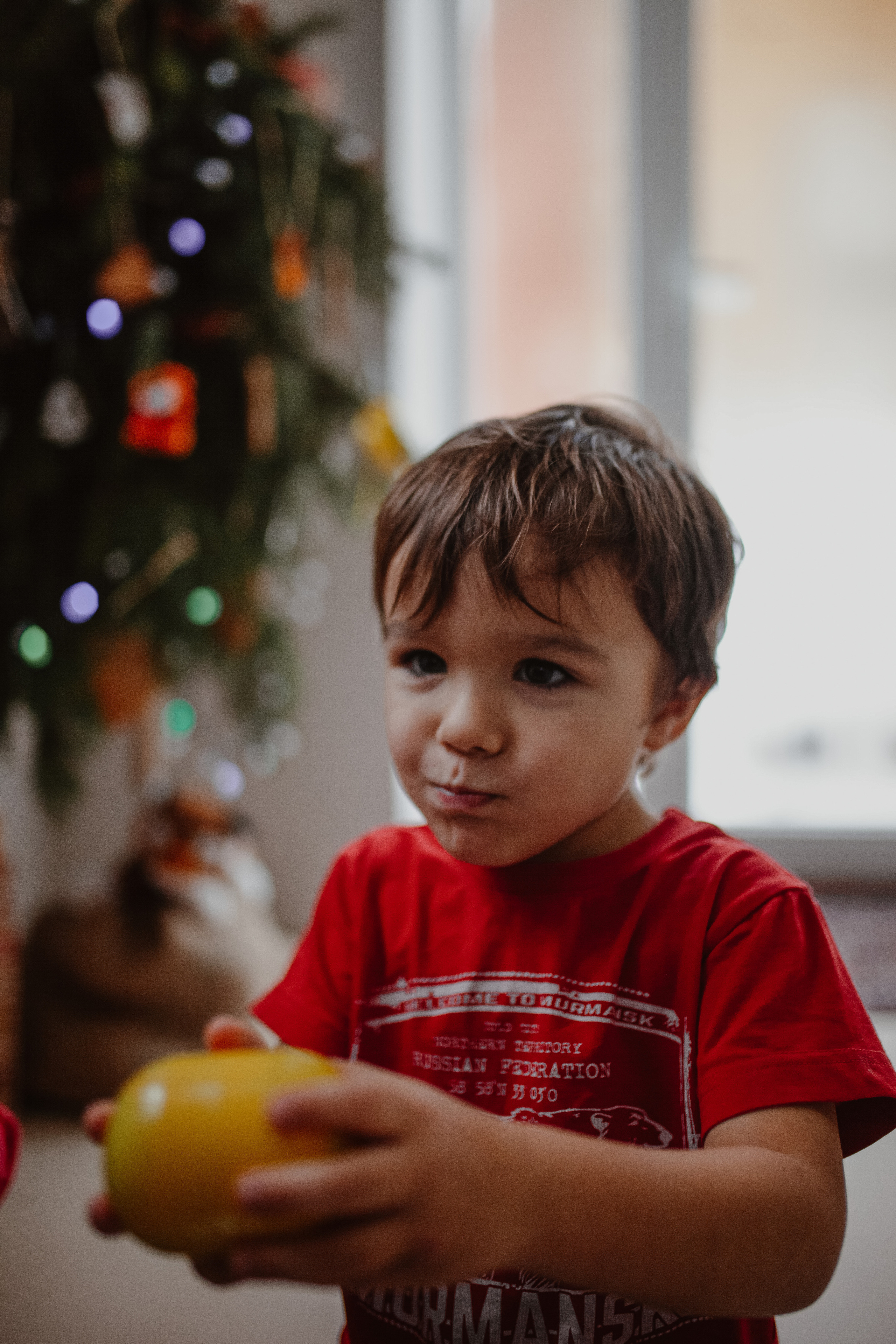 Рождественские каникулы в семье Заколодкиных. Главная