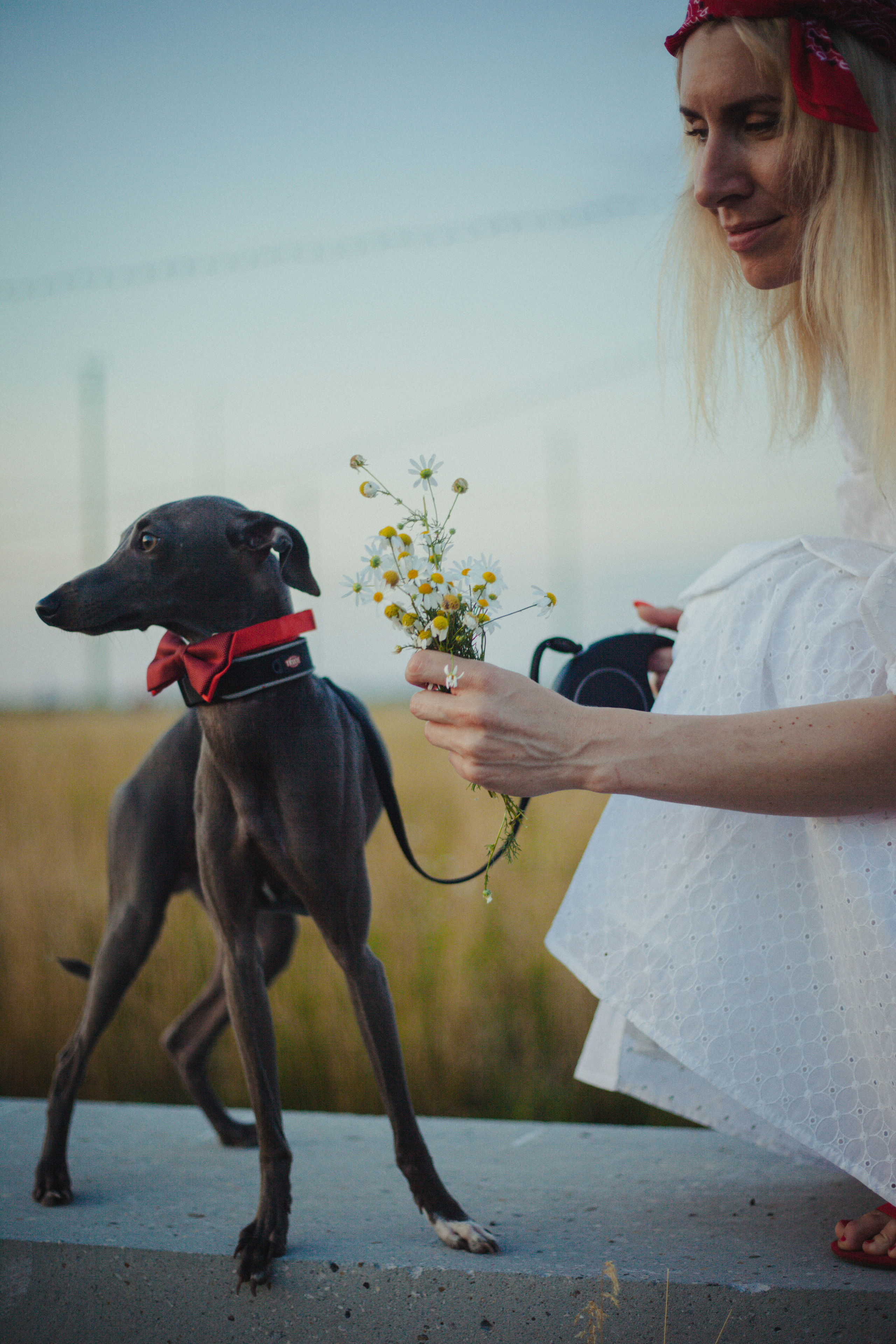 Светлана и Гарри. Главная
