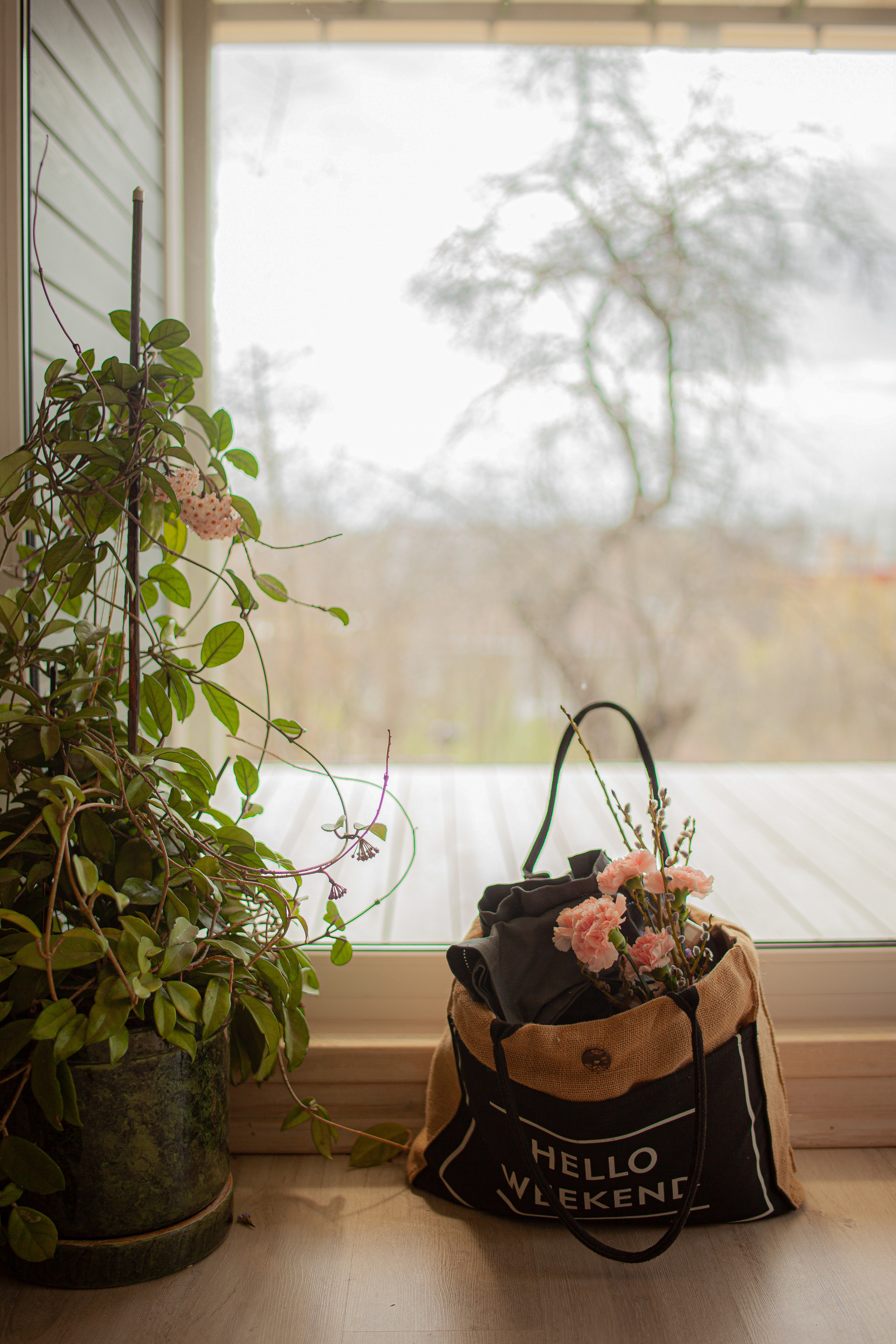 МК по сервировке и МК по приготовлению крем-брюлле. Главная