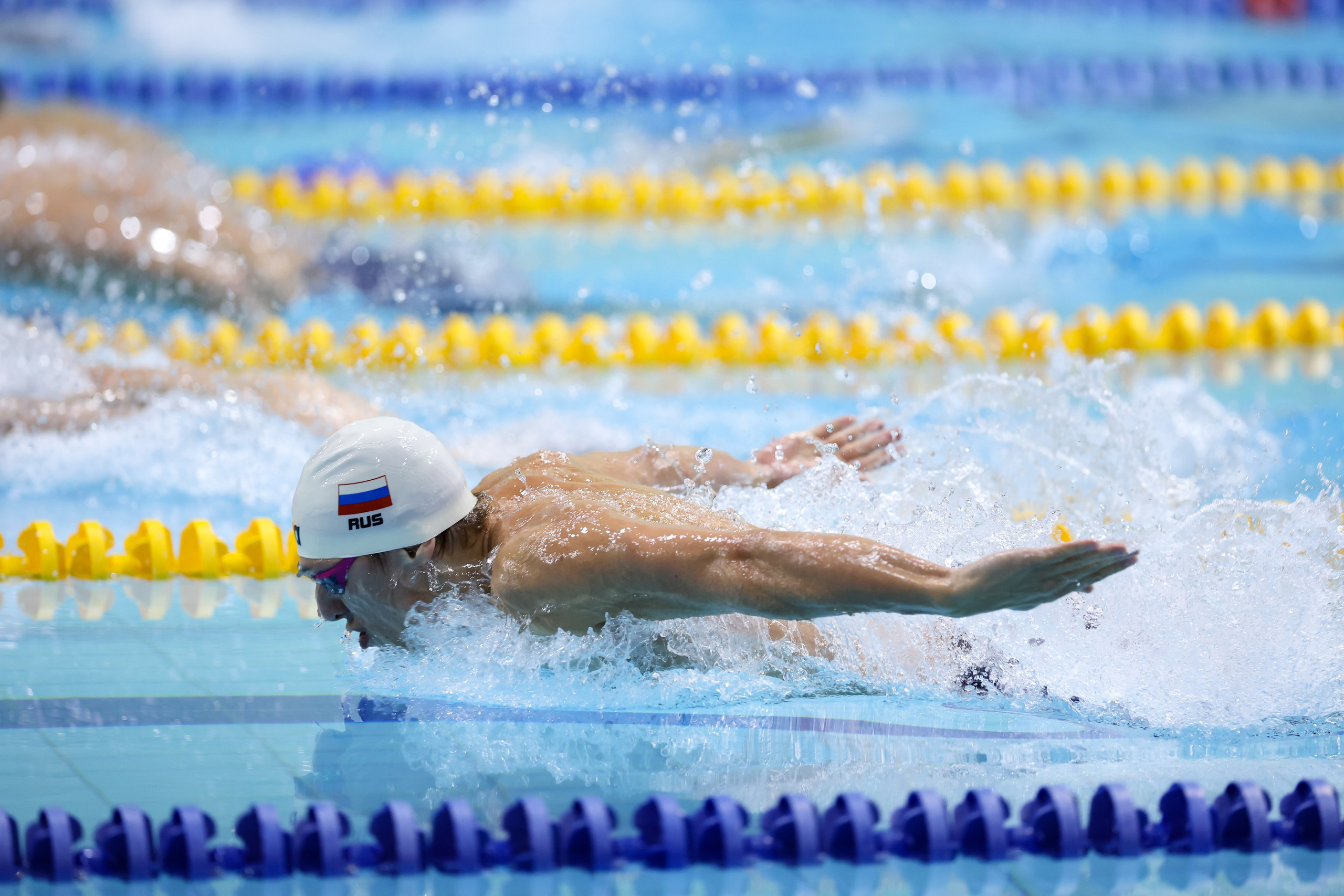 Чемпионат России по плаванию 25 м 21-26.11.2024. Спортивный и репортажный фотограф Антон Тереханов