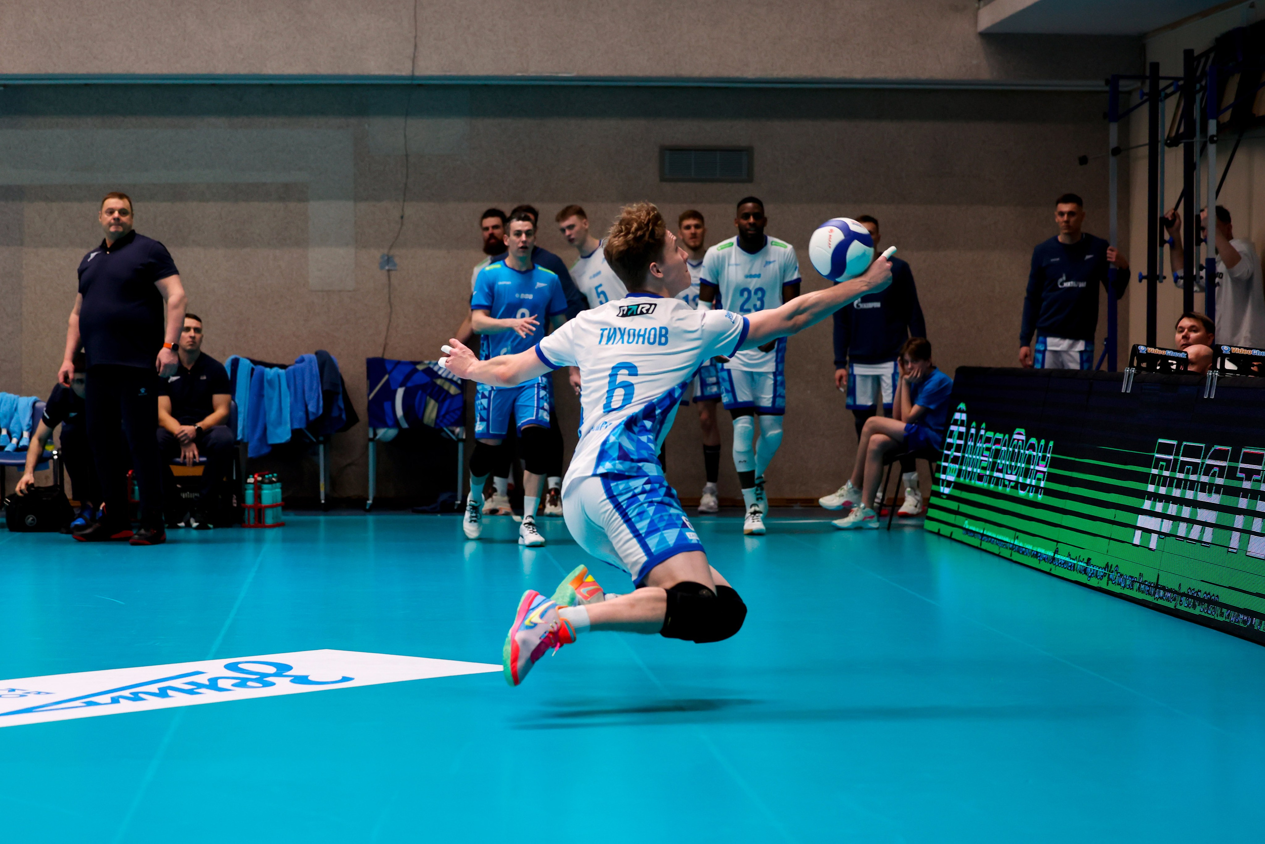 ВК Зенит — ВК АСК 15.03.2025. Спортивный и репортажный фотограф Антон Тереханов