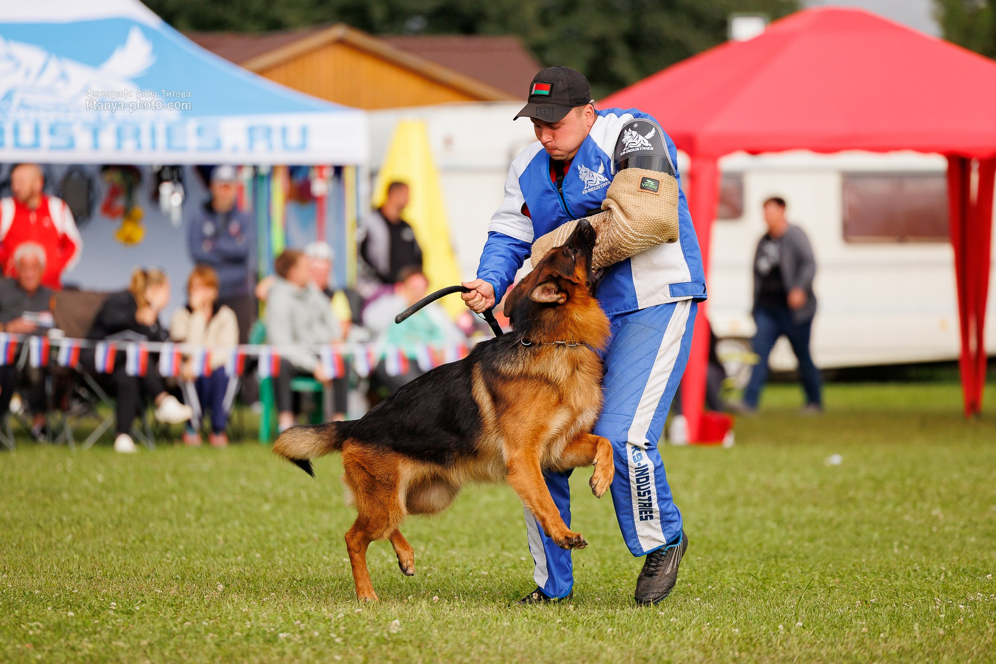 Немецкие овчарки: фото из рингов и вне ринга, мутпроба (фотографии с выставок). Фотограф собак, фотограф-анималист Аня Титова (Titanya). Москва