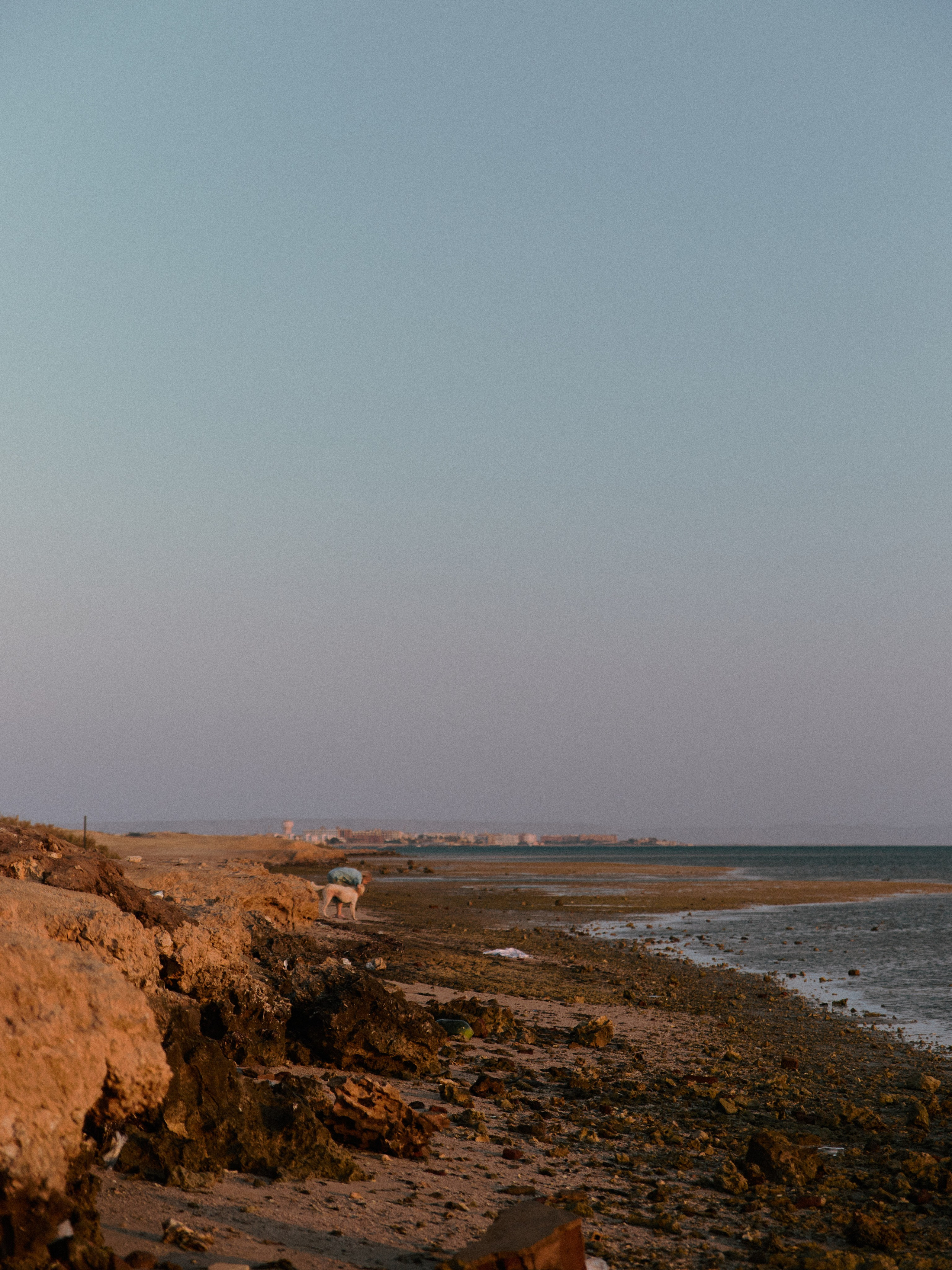 Улицы. Jorgis Talè — photographer, kind person, teacher of arts and other mag