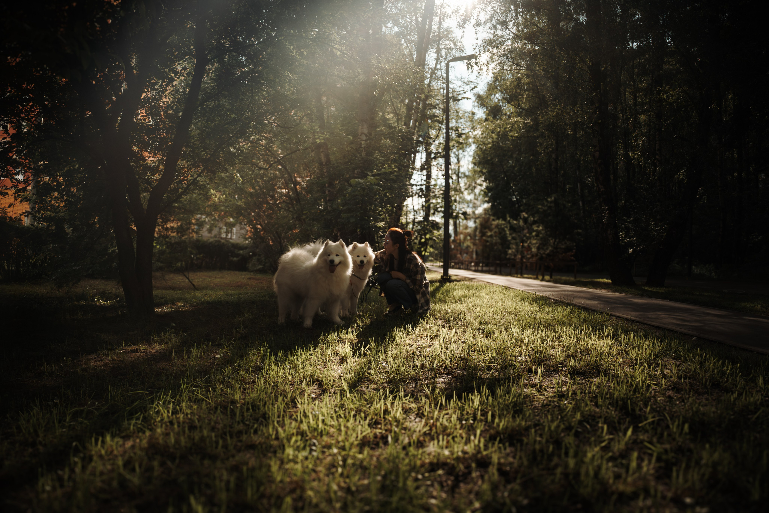 Фотосессия девушки с 2 собаками самоедами в лесопарке. Фотограф-анималист в Москве Екатерина Тихонова