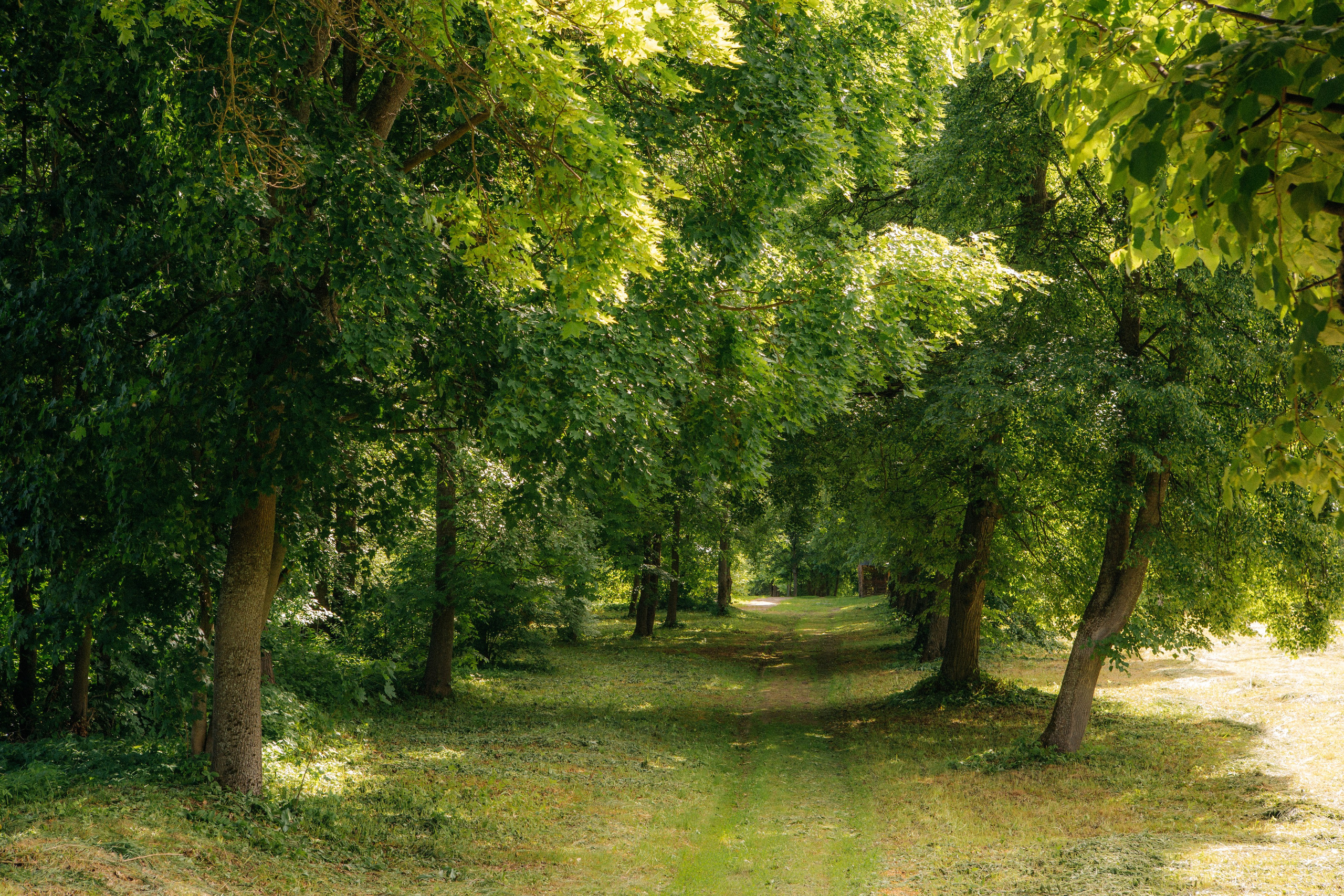 Музей-усадьба «Никольское-Вяземское». Профессиональный фотограф в Мценске и Орловской области