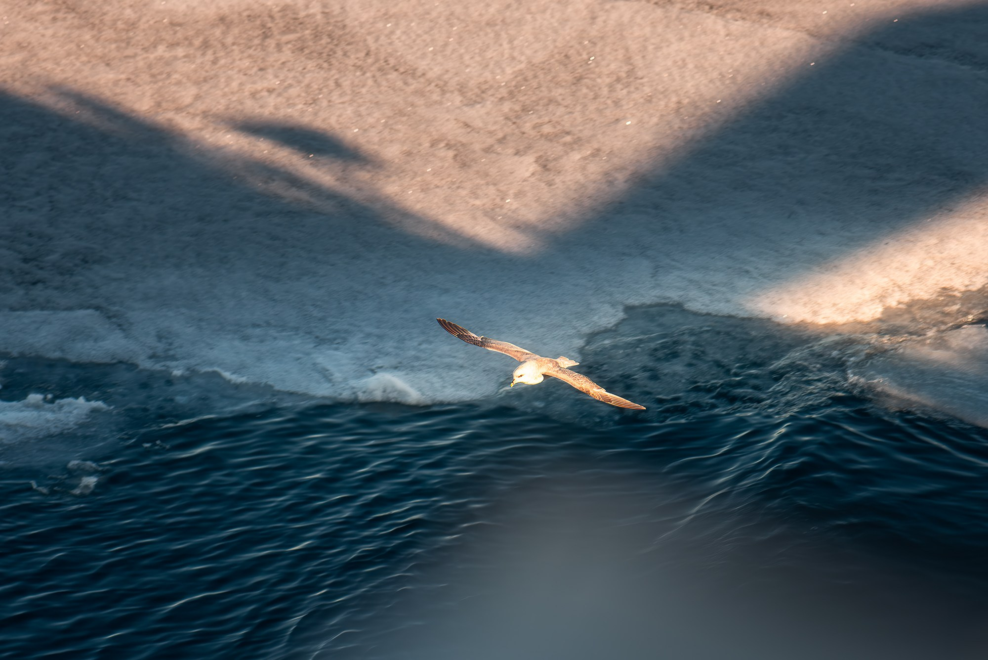 Арктика. Аэросъемка в Архангельске, Александр Ермолин