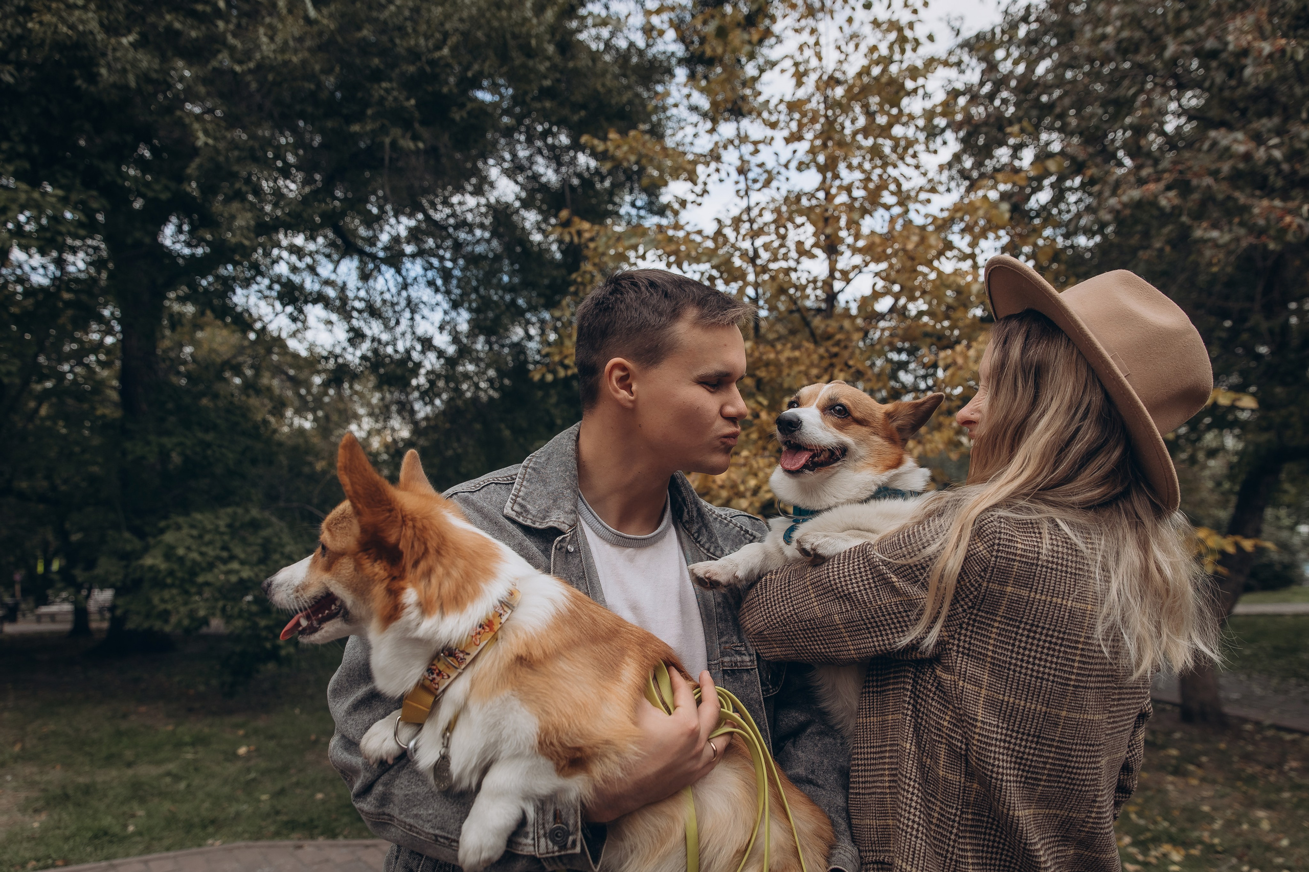 «Королевский Корги» 2. Фотограф Алина Ионычева в Новосибирске