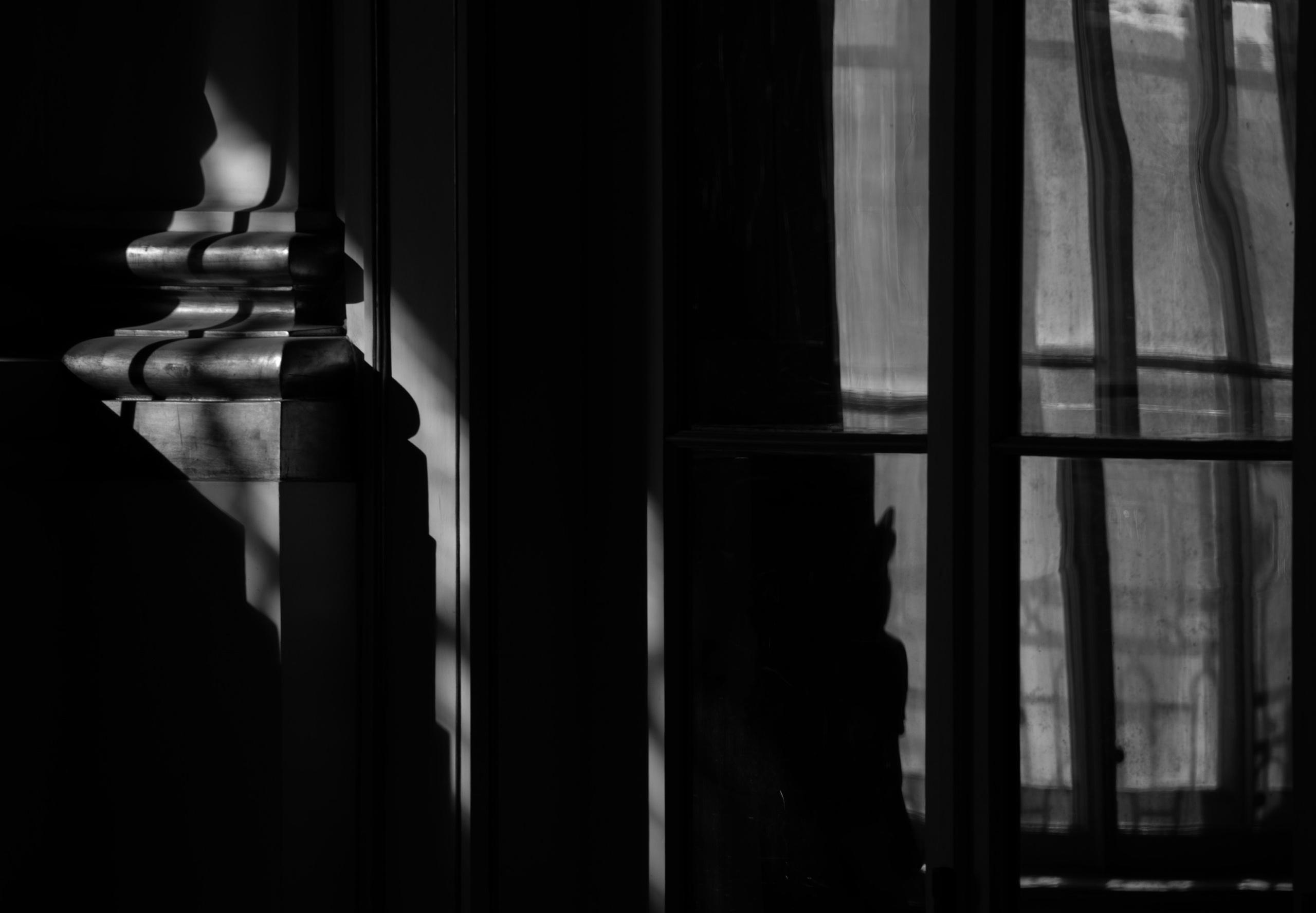 Impressions. Фотограф Oleg Zini