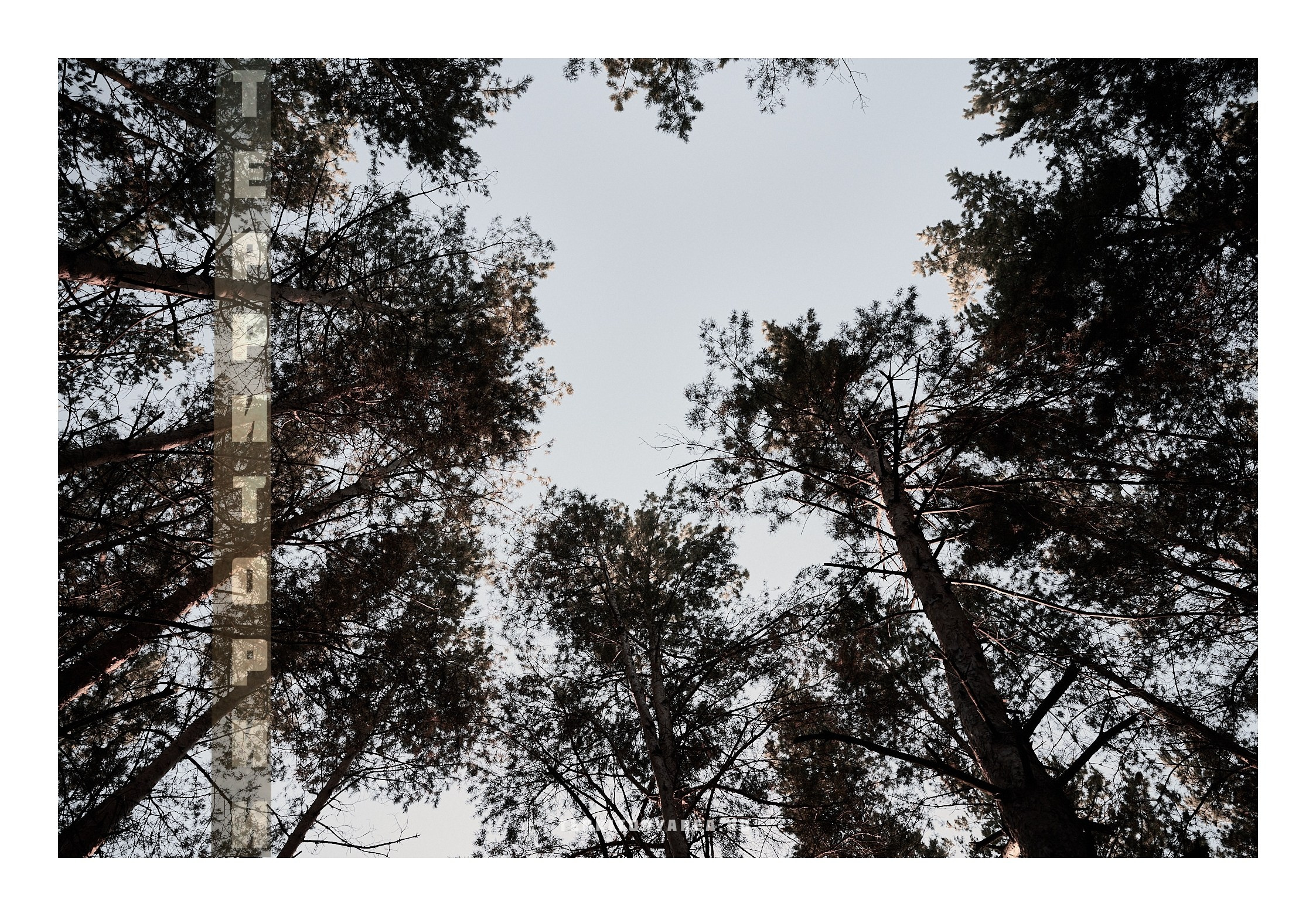 Фотопринты А3. Фотопроект «Территории»