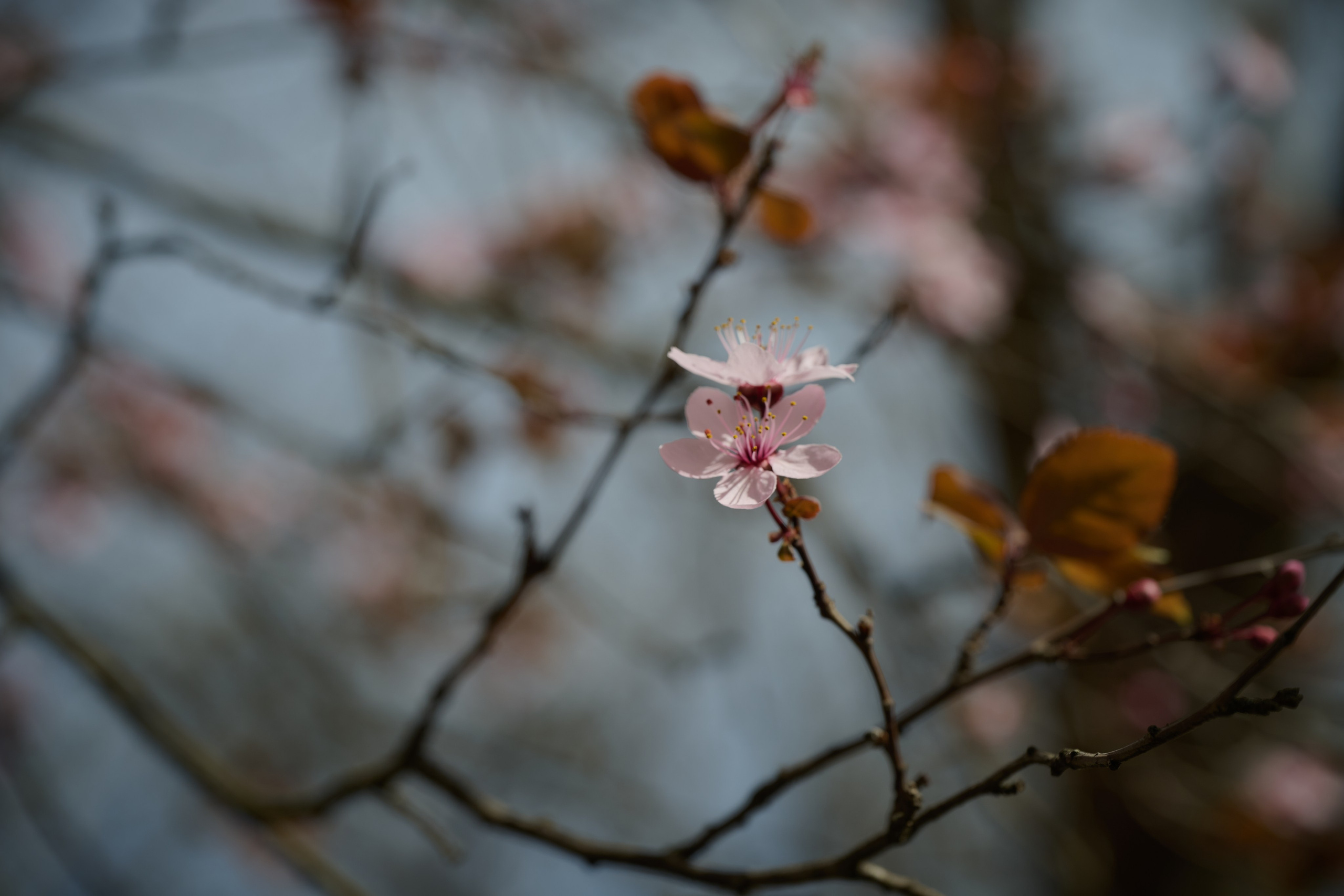 Мелитополь. Фотопроект «Территории»