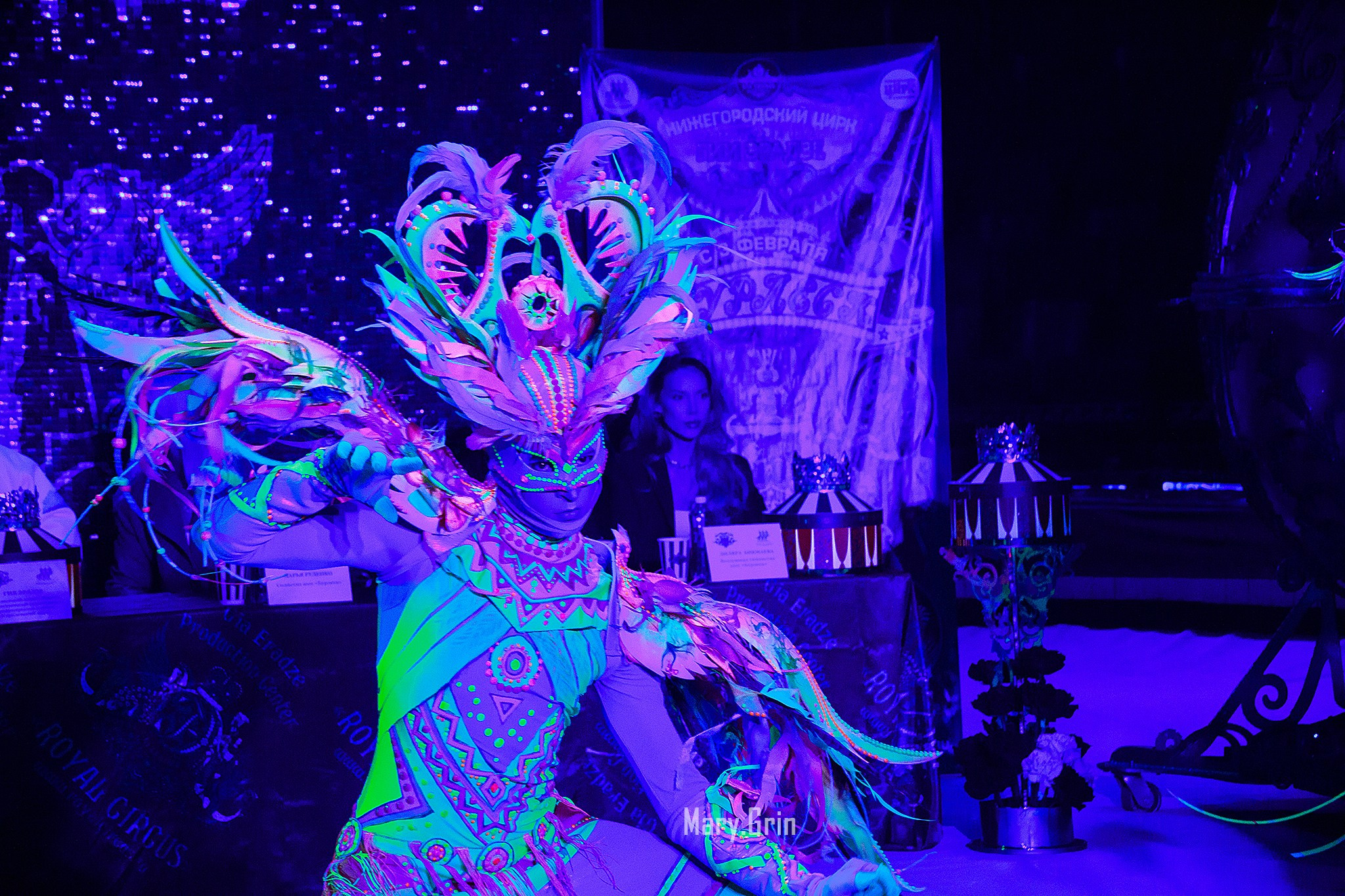 Цирк Гии Эрадзе. Детский и семейный фотограф, фотограф мероприятий Нижний Новгород