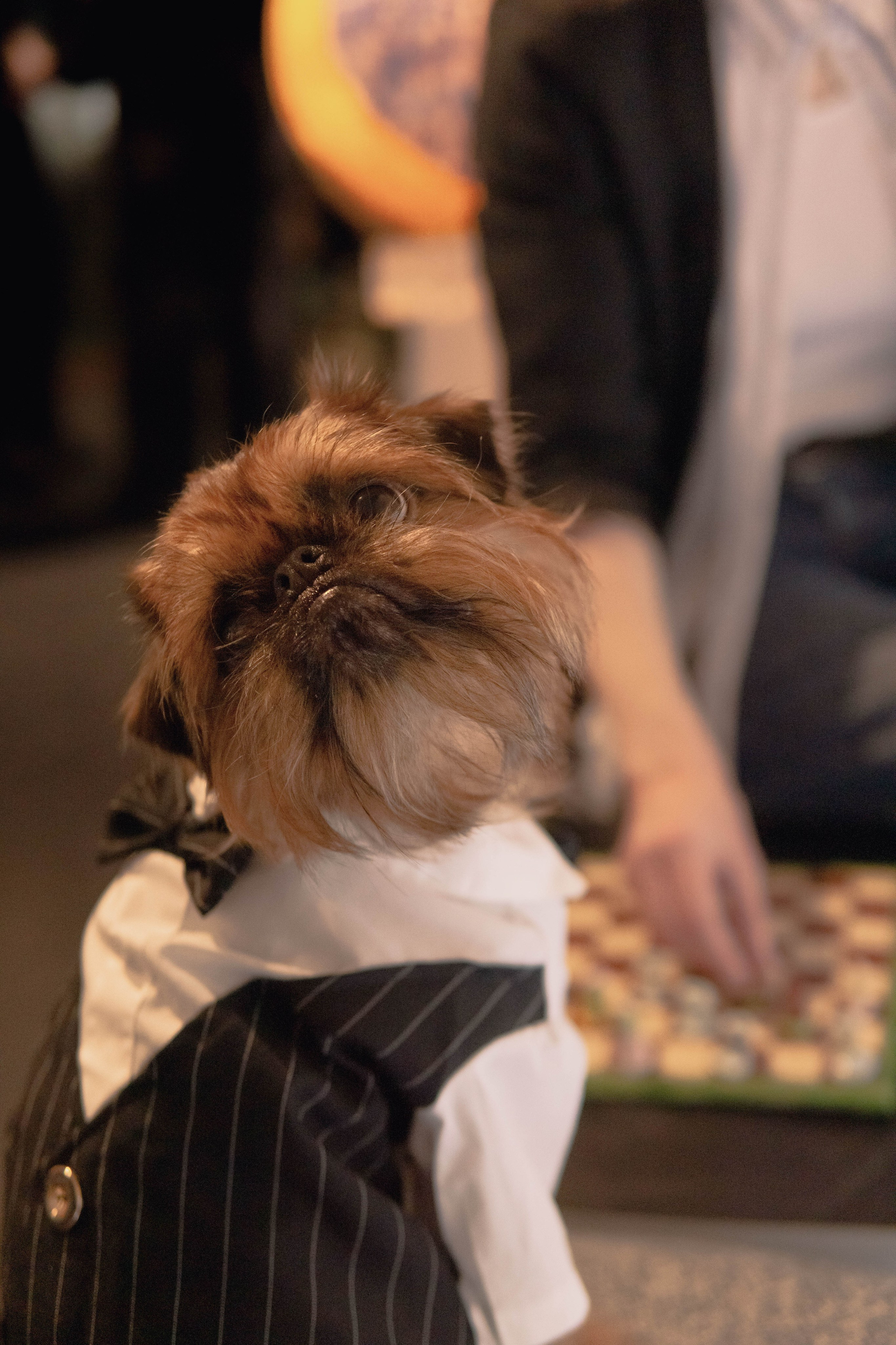 Наташа и Хавьер. Фотограф-анималист Ксения Воробьева, Москва