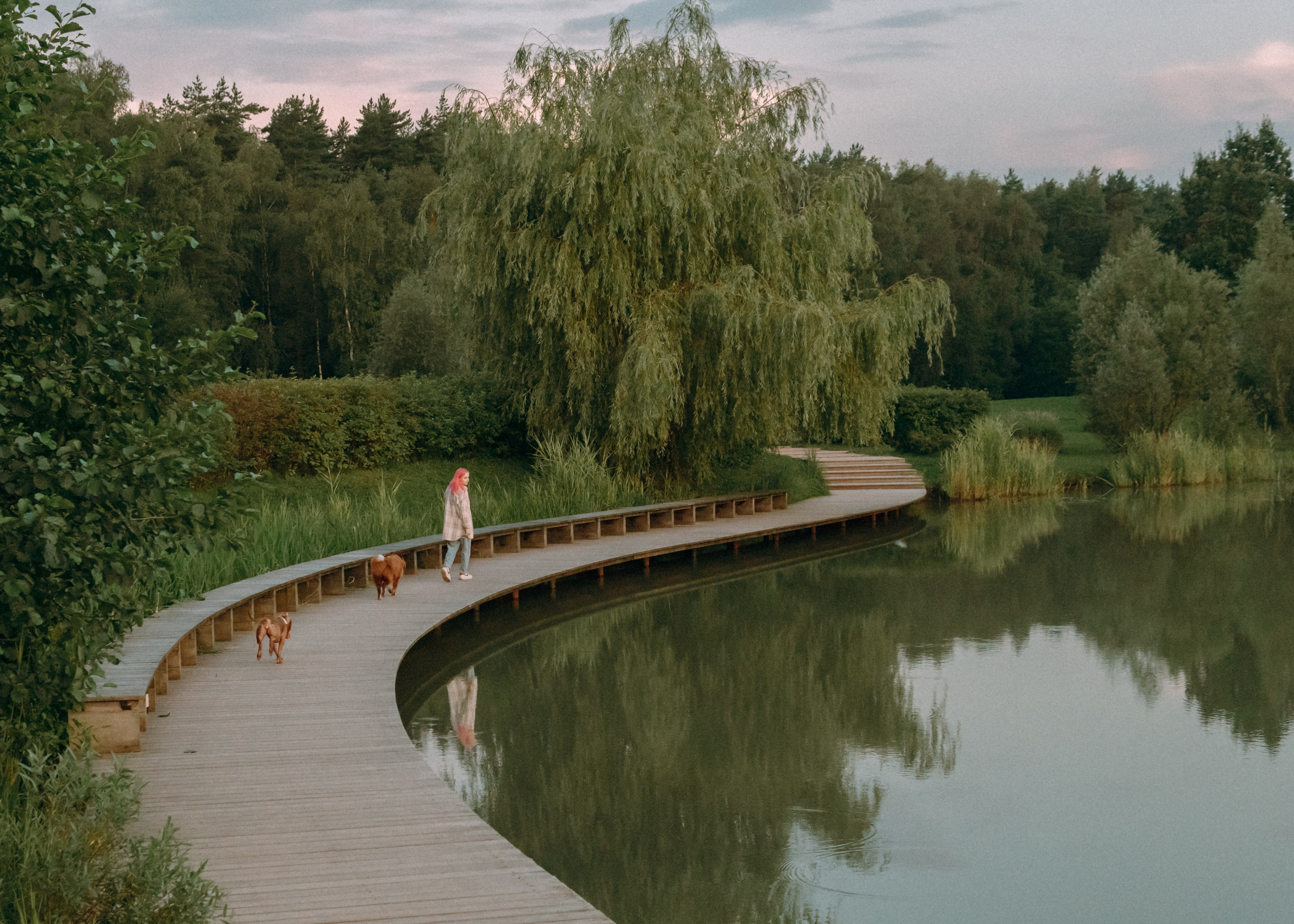 Виолетта, Лила и Питер. Фотограф-анималист Ксения Воробьева, Москва