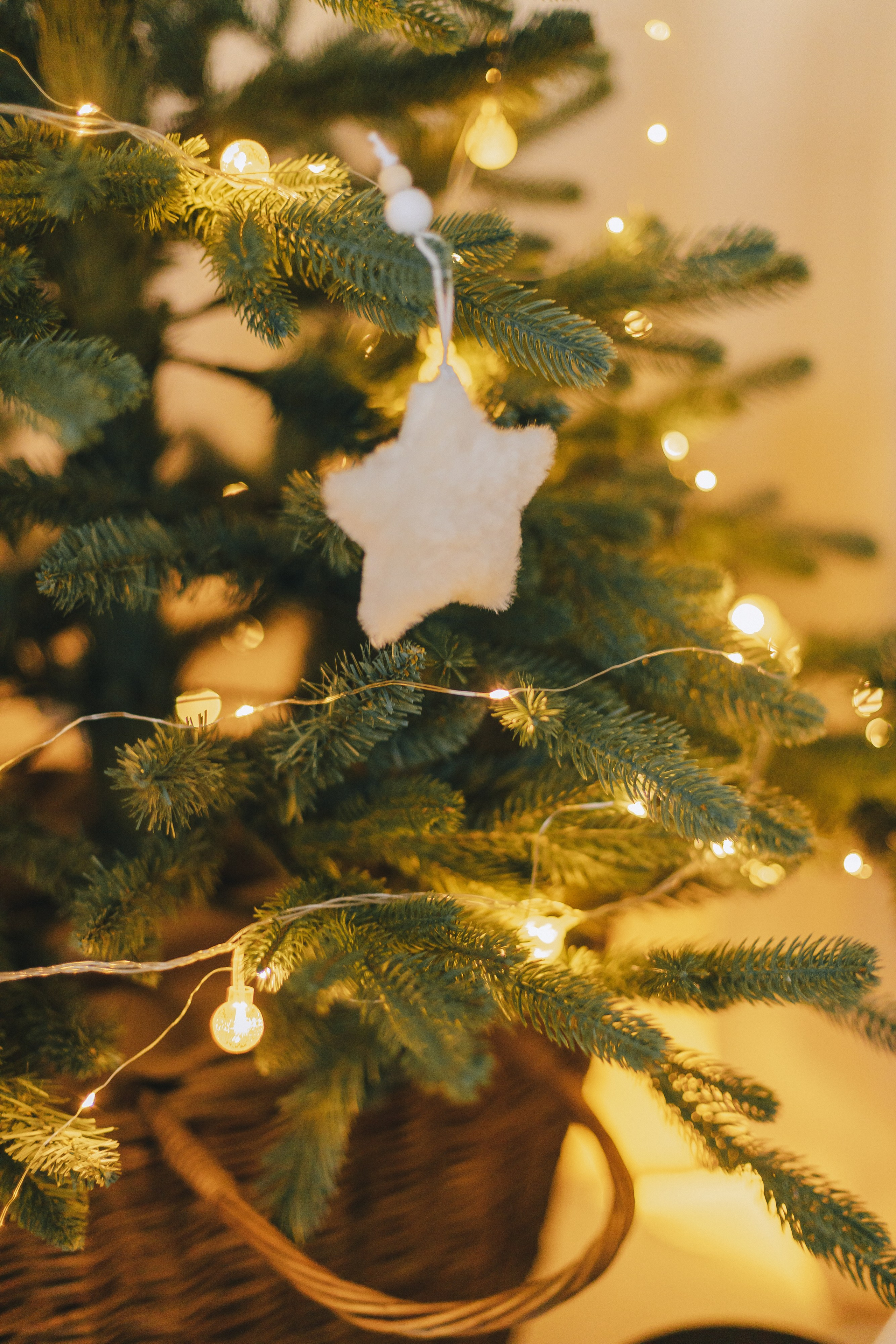 Ксюша и Влад. Фотограф Таганрог Любимая Надя