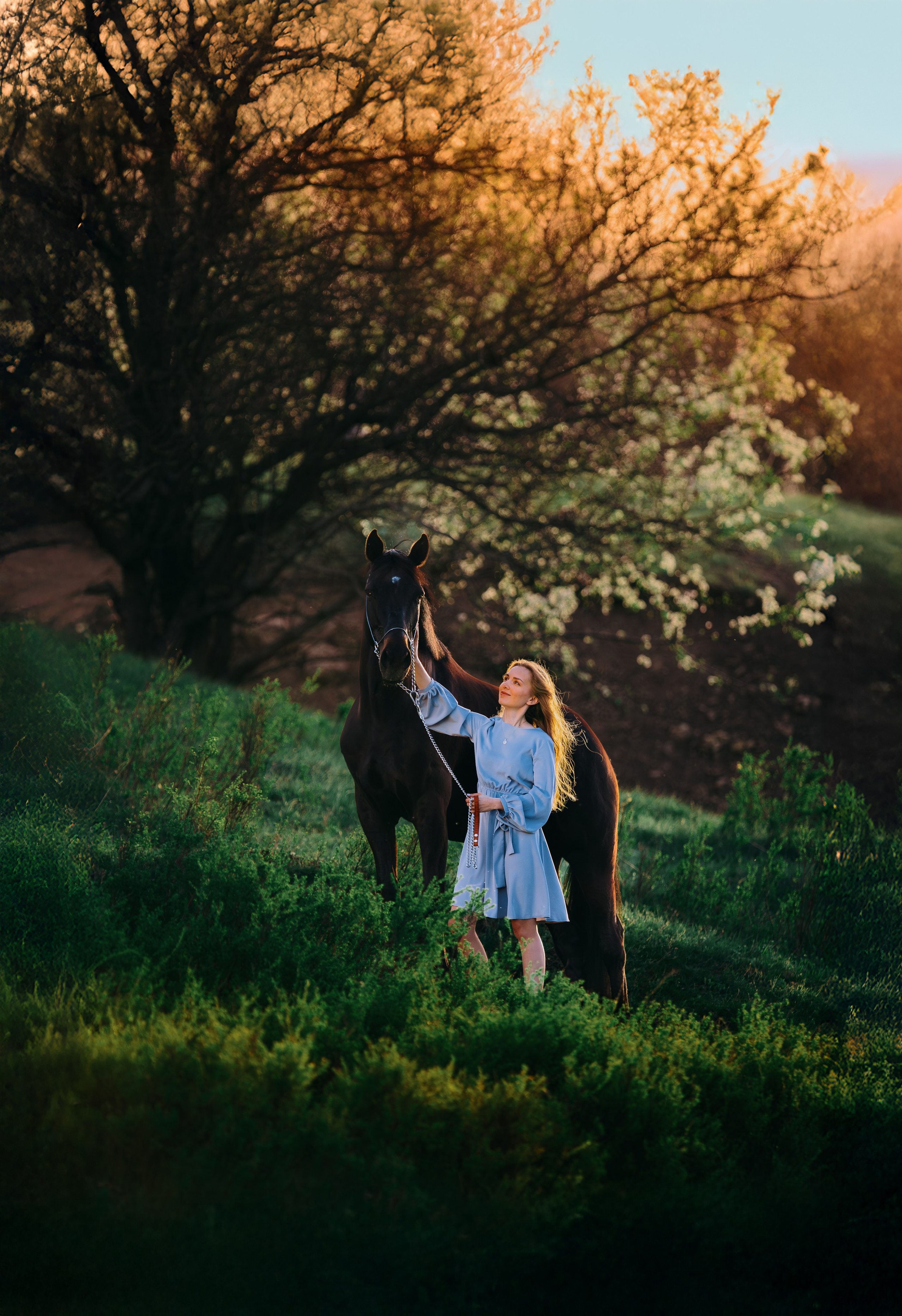 Вероника и Брэй. Фотограф-анималист Ксендзова Кристина