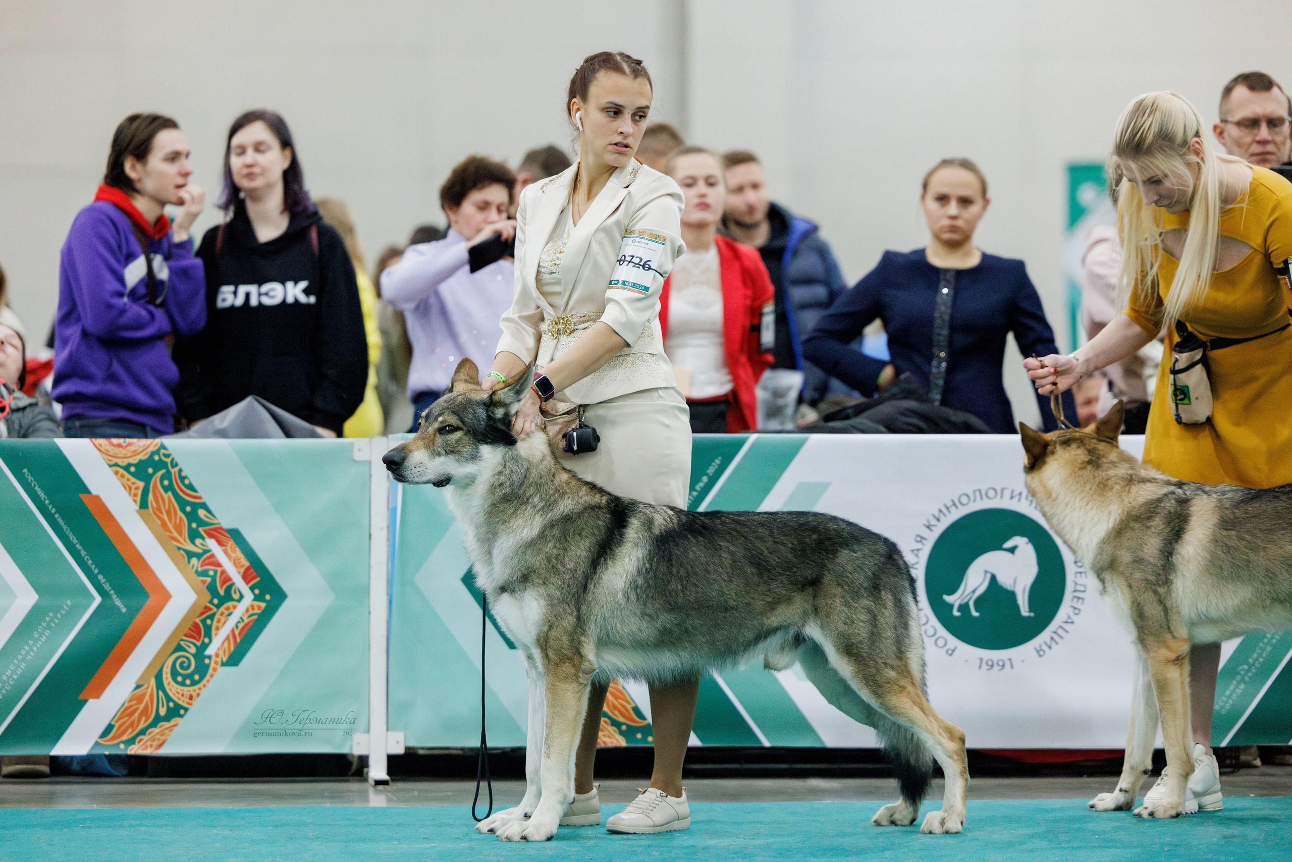Евразия 16-17.11.2024. Фотограф-анималист Юлия Германика