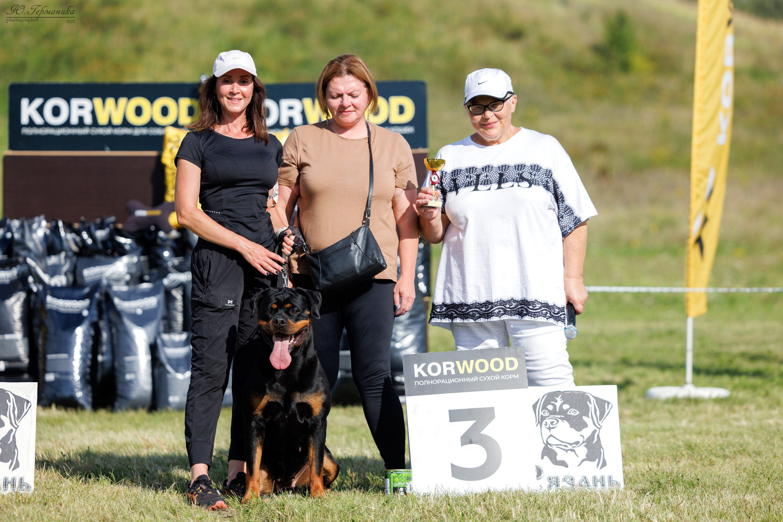 Рязань 2хмоно ротвейлеры 16-17.08.2025. Фотограф-анималист Юлия Германика