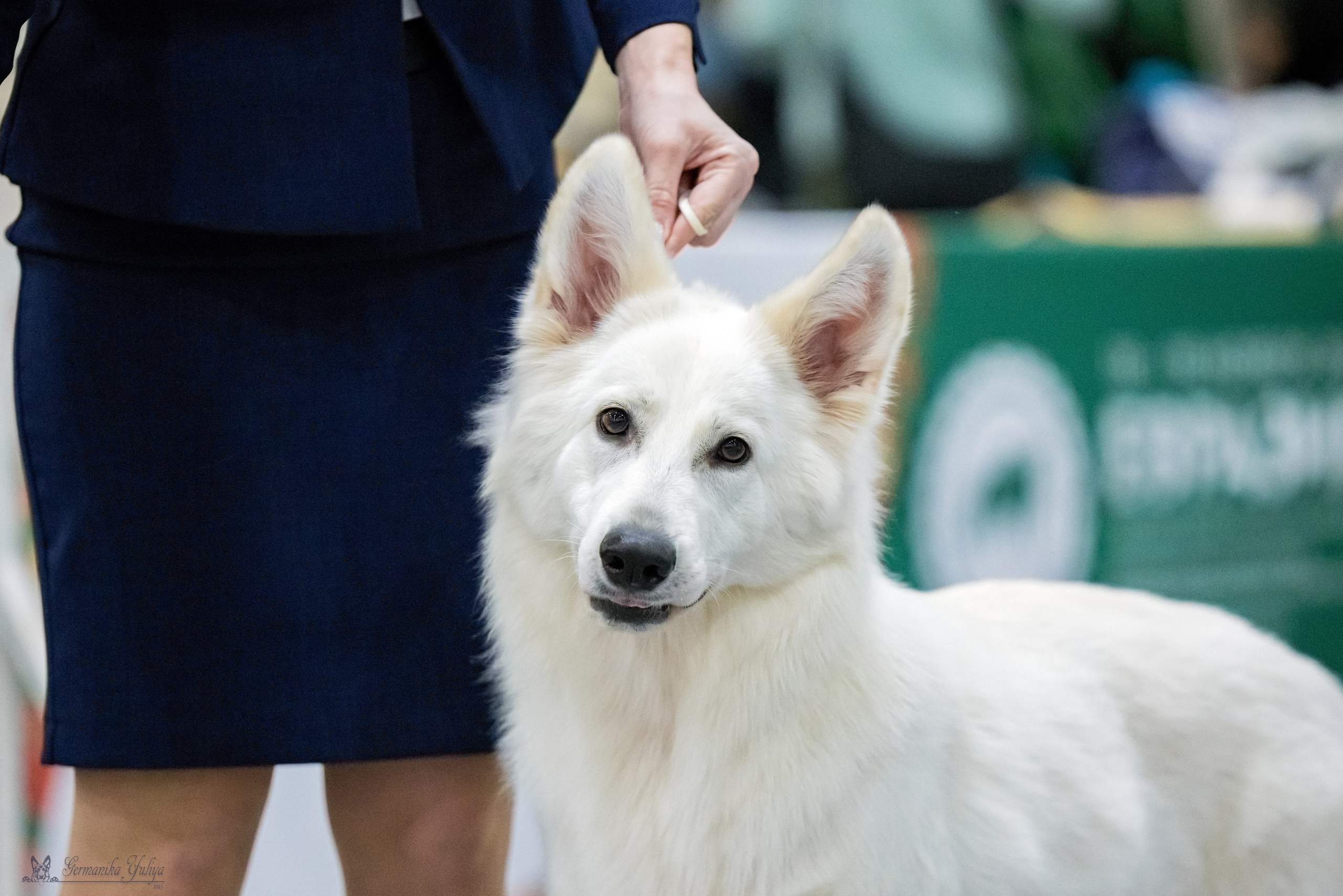 ЕВРАЗИЯ 18-19.11.2023. Фотограф-анималист Юлия Германика