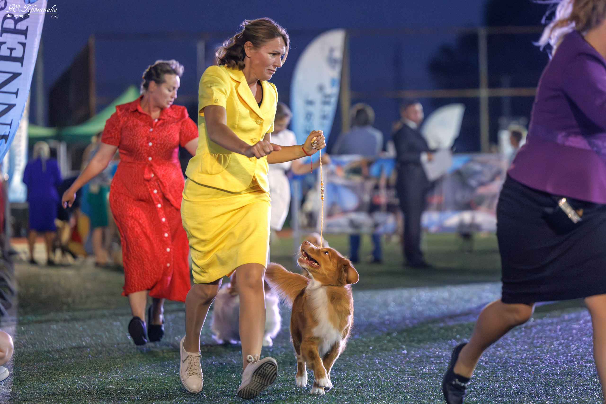 Калининград 25-27.07 Волгоград 1-3.08 2025. Фотограф-анималист Юлия Германика