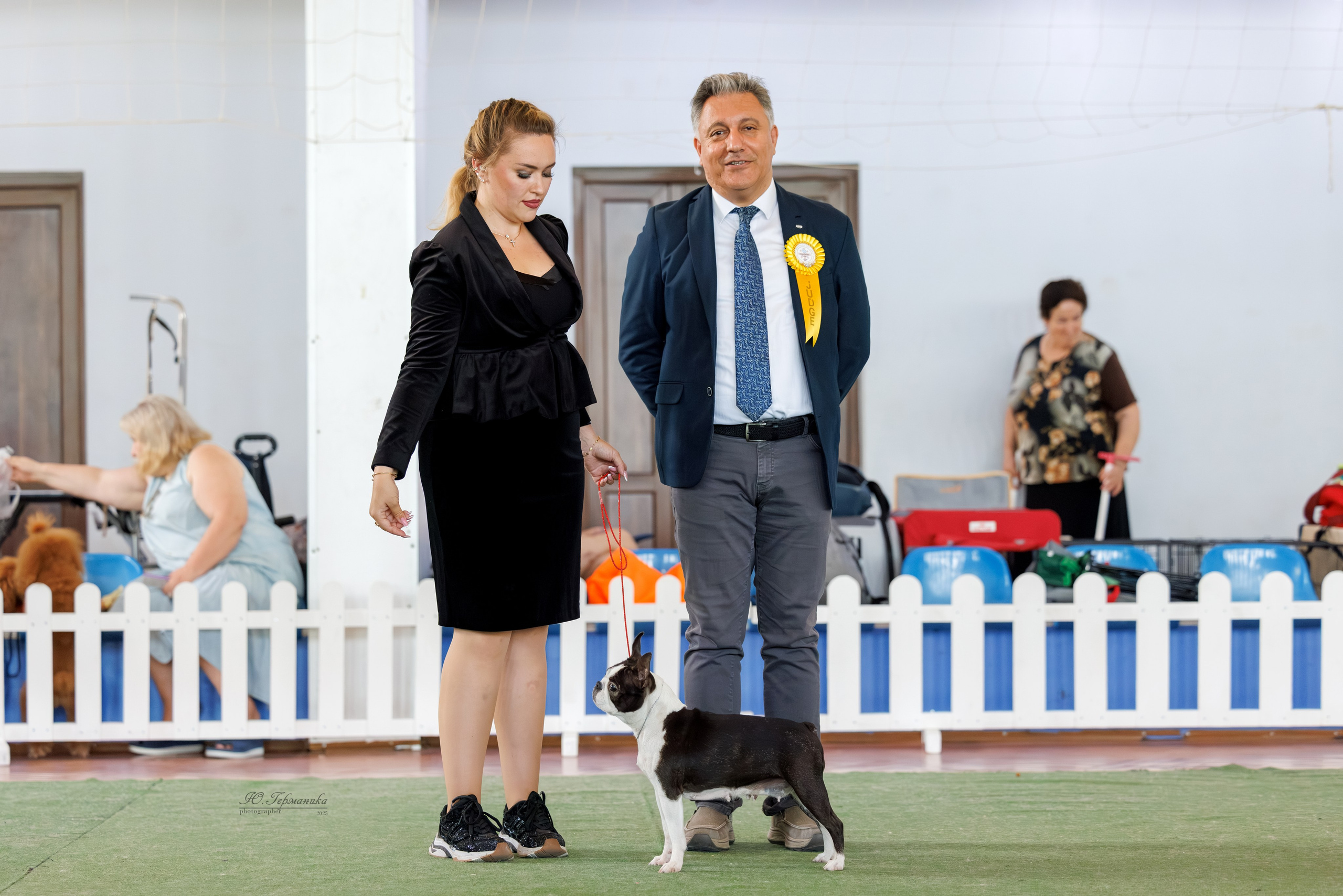 Батуми 3хCACIB 27-29.06.2025. Фотограф-анималист Юлия Германика