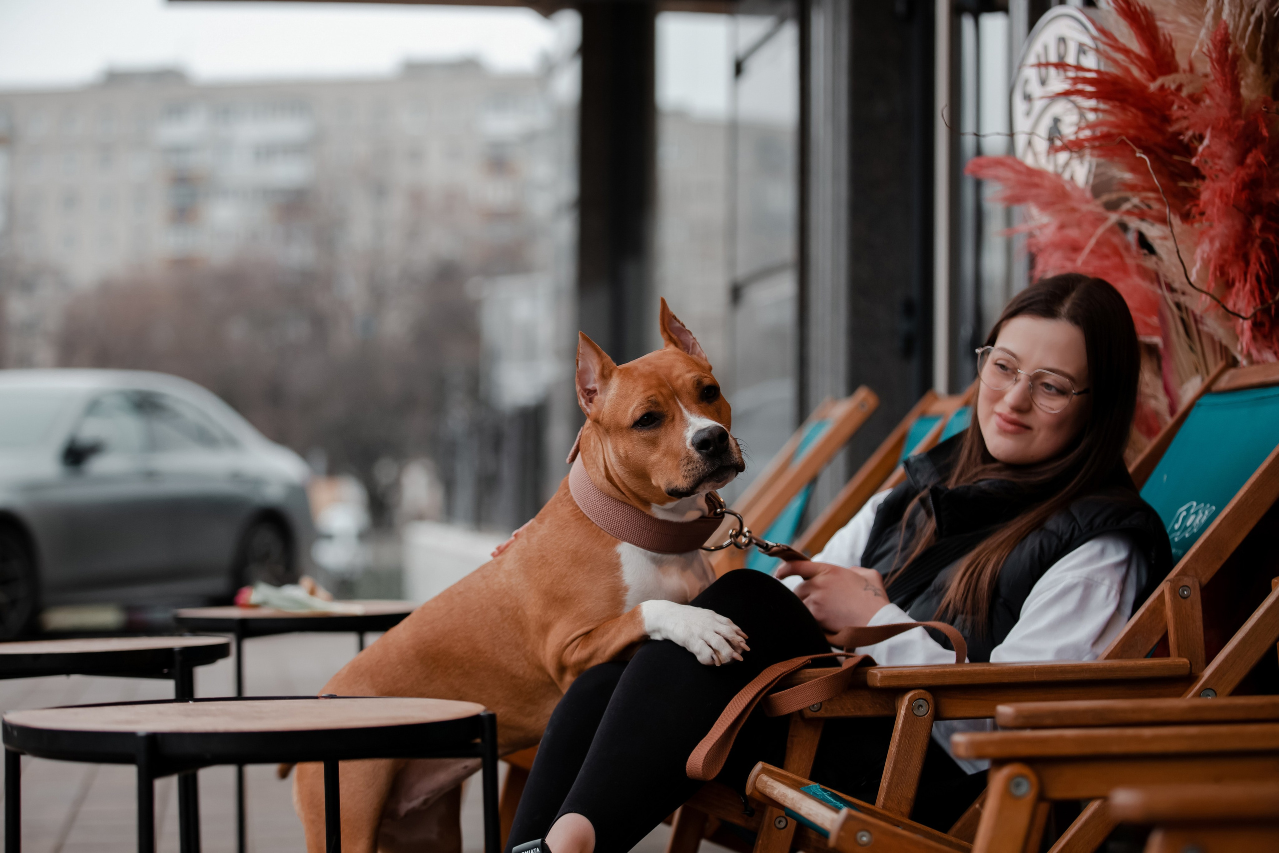 Фотосессия «Человек и собака». Фотограф-анималист в Краснодаре Маша Мельникова