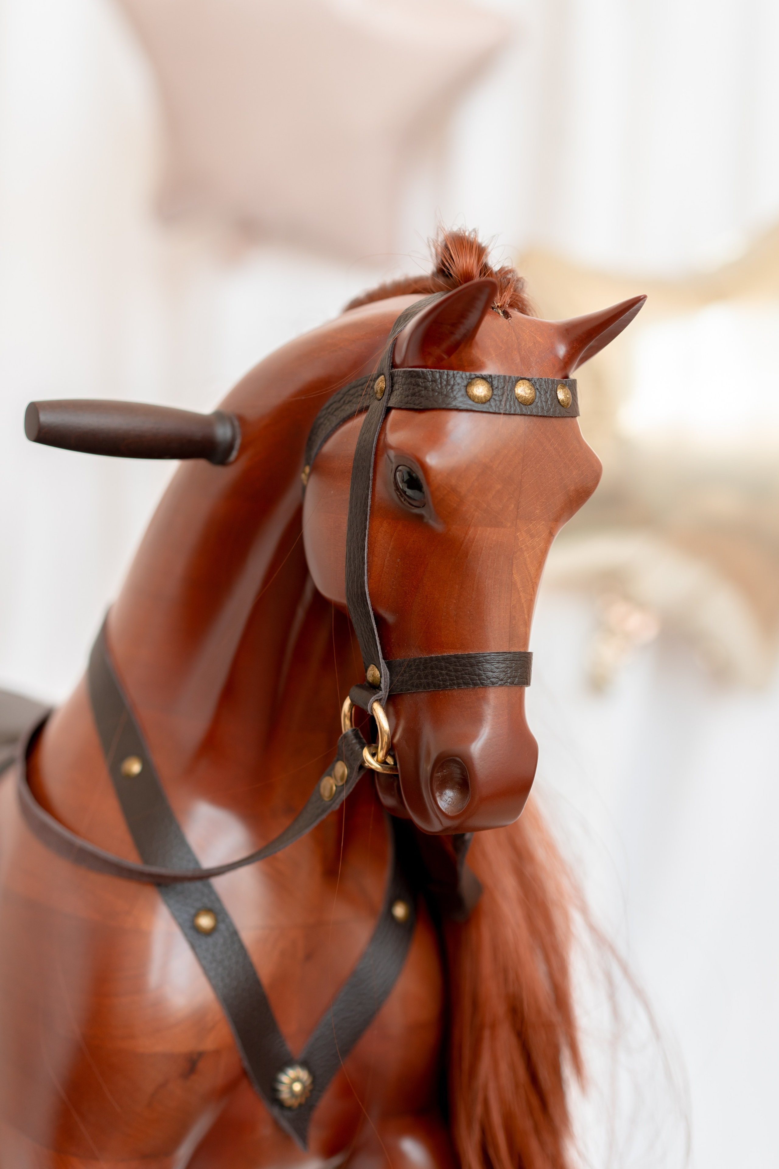 Лошадка. Детская, семейная фотостудия в Санкт-Петербурге