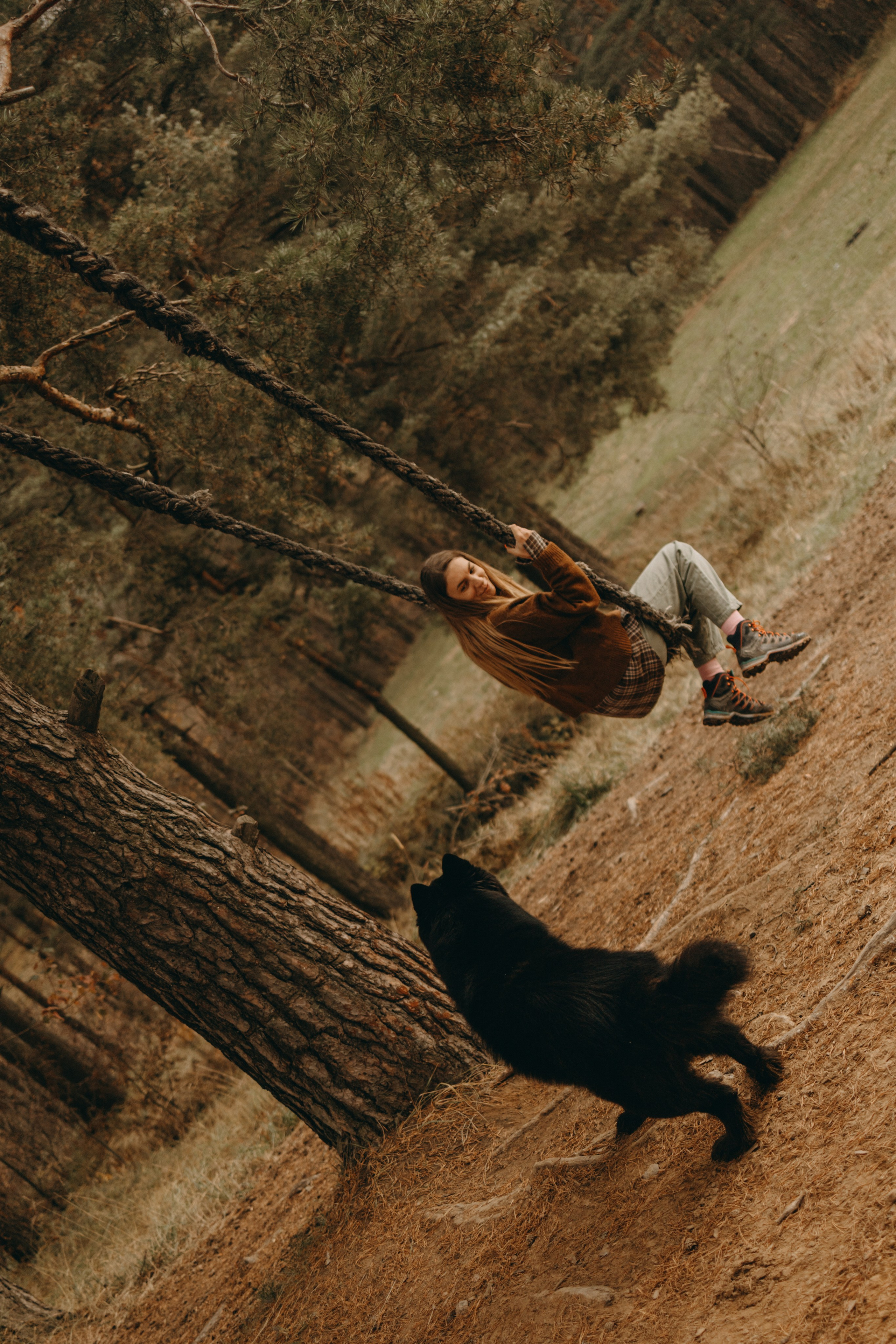 Лора и Джанго. Фотограф — Анималист | Санкт-Петербург