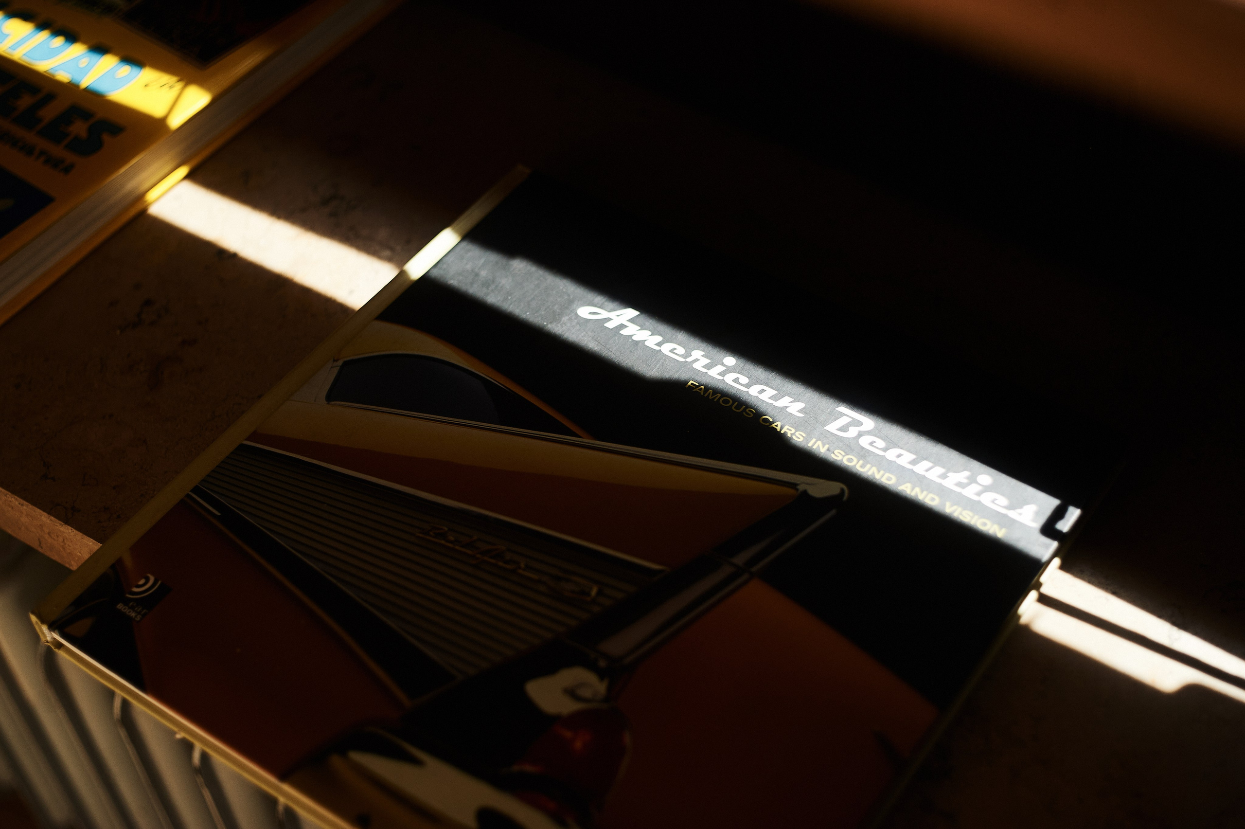 Munich. Свадебный фотограф в Ростове-на-Дону Владимир Пешков