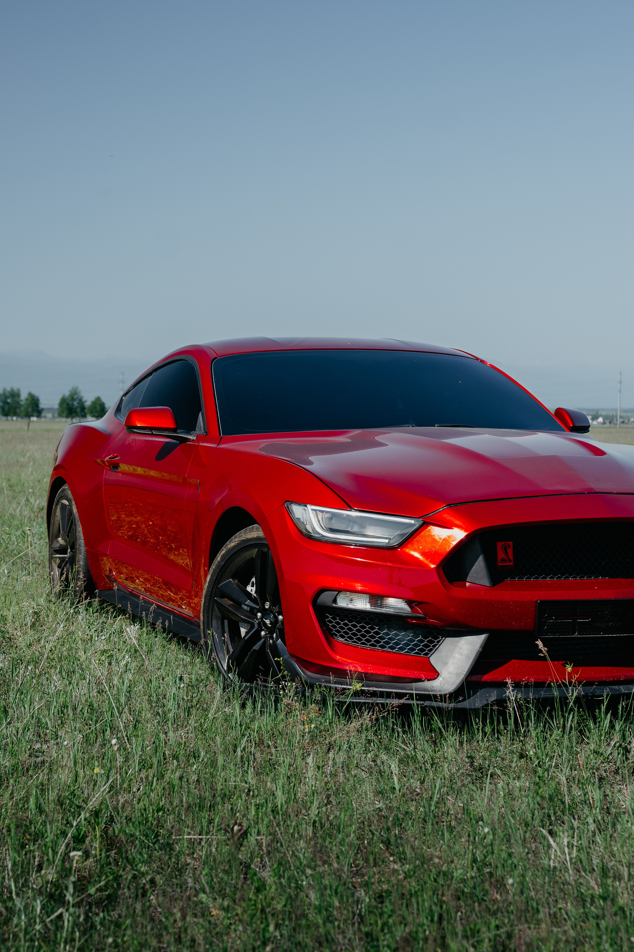 Ford Mustang. Фотограф, видеограф и пилот дрона на Байкале