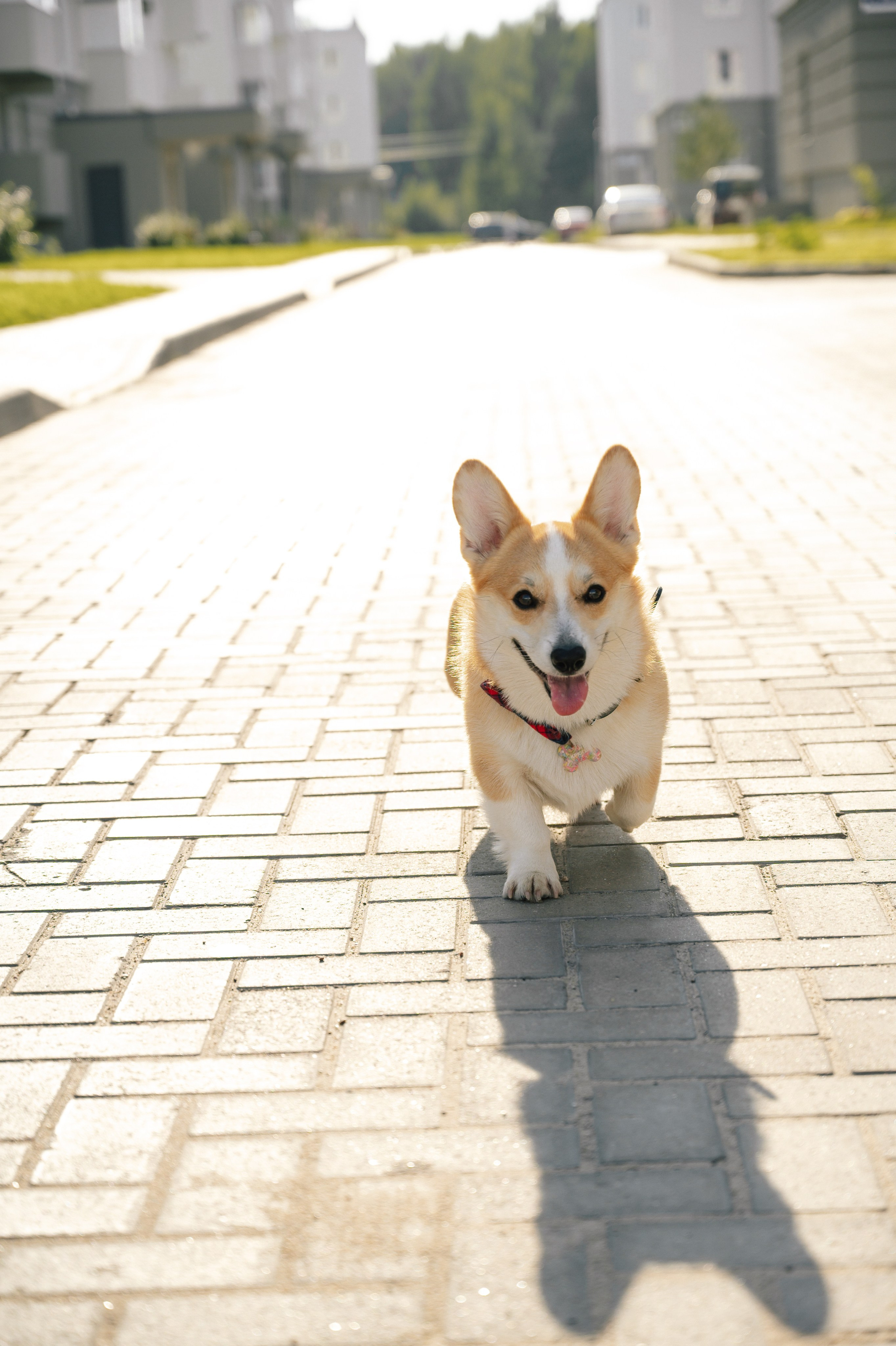Love story. Профессиональный фотограф Кристина Кирьянова
