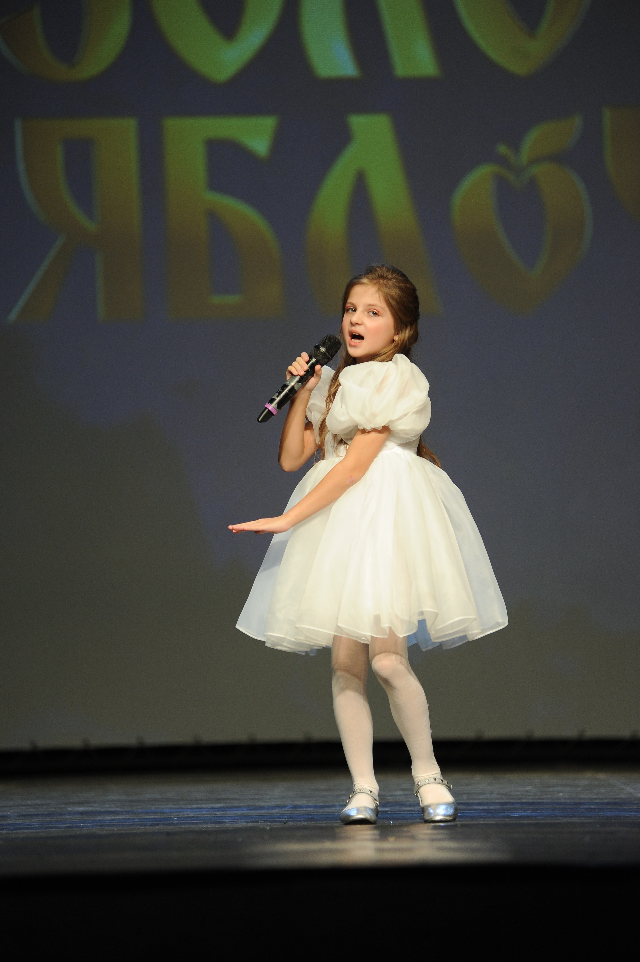 16 ноября, г. Красноярск. Золотое яблочко