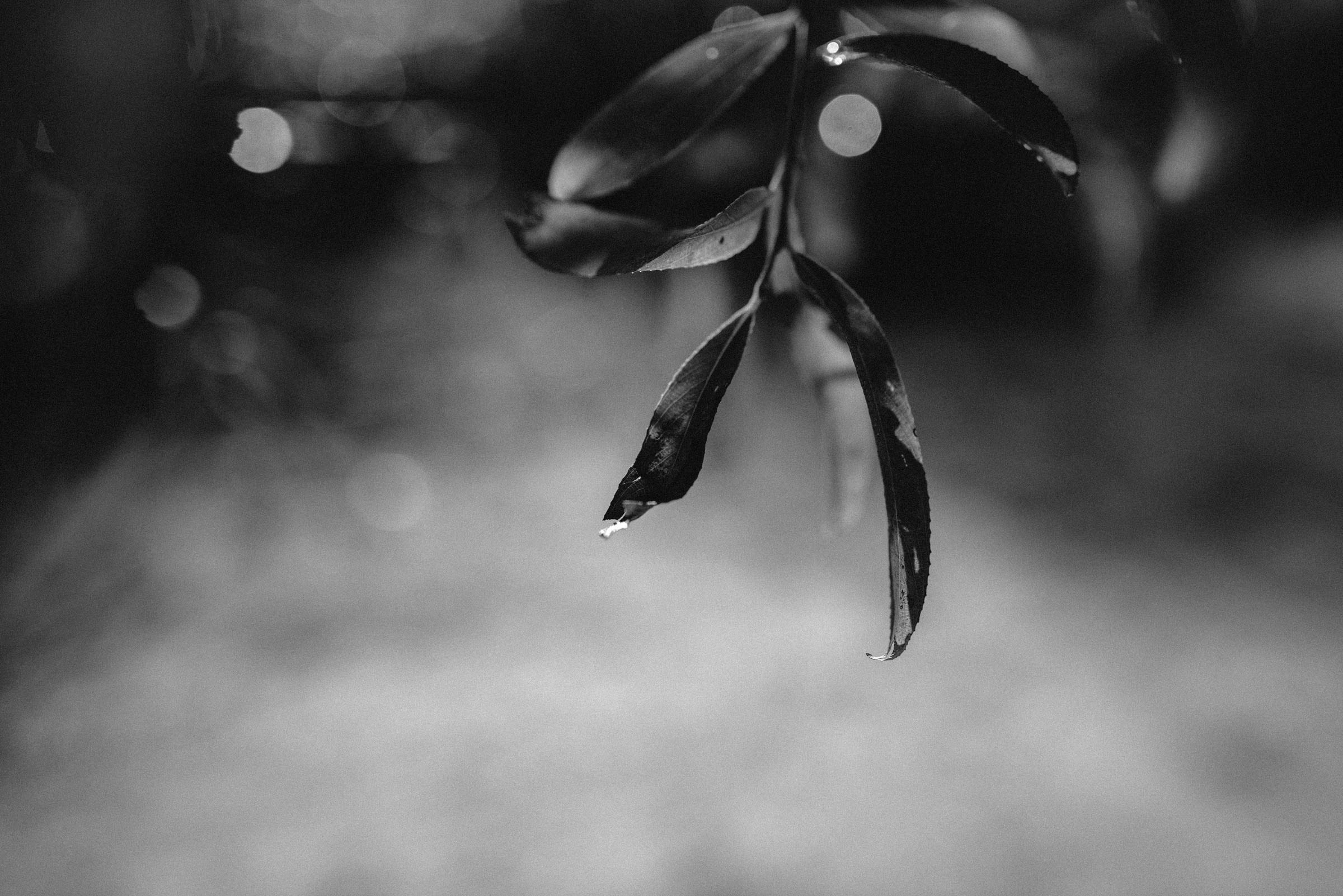 Катя. Фотограф Алутера Ирина