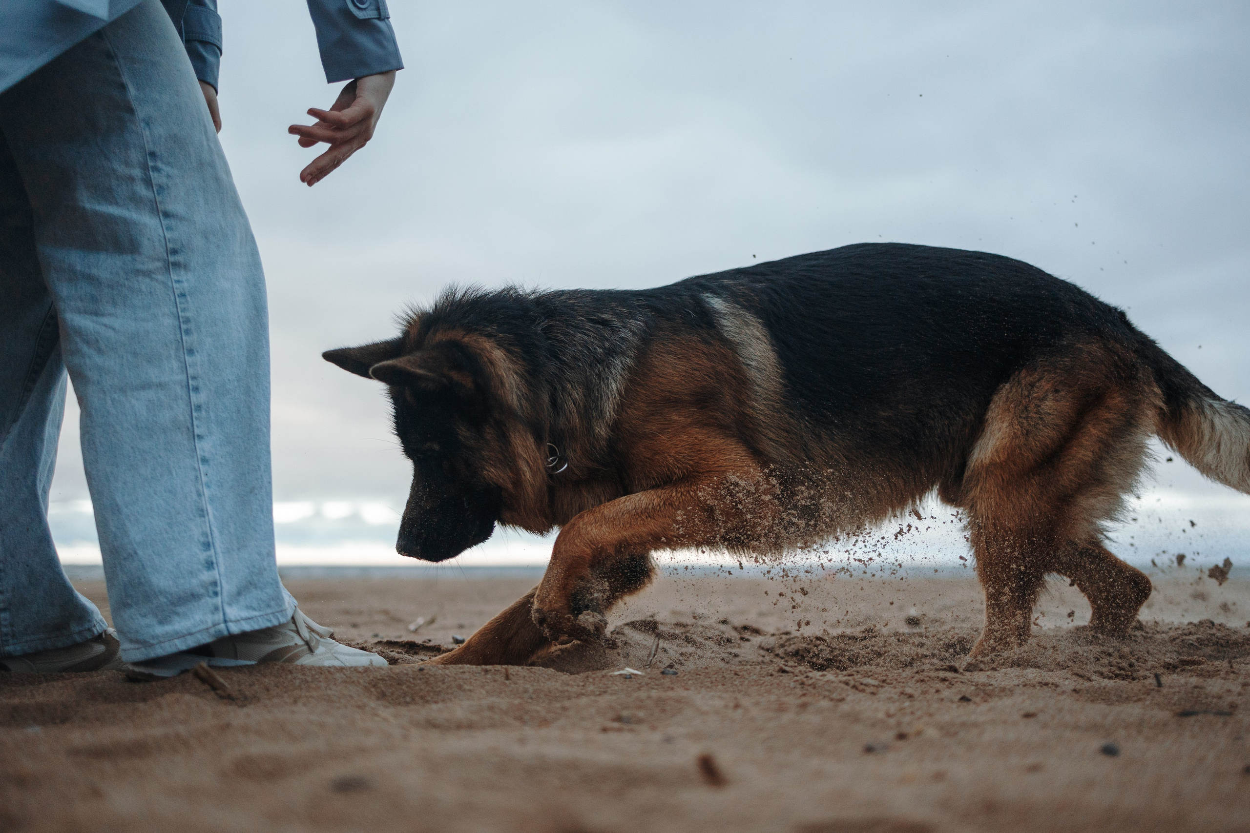 Катя и Агат. Фотограф — Анималист | Санкт-Петербург