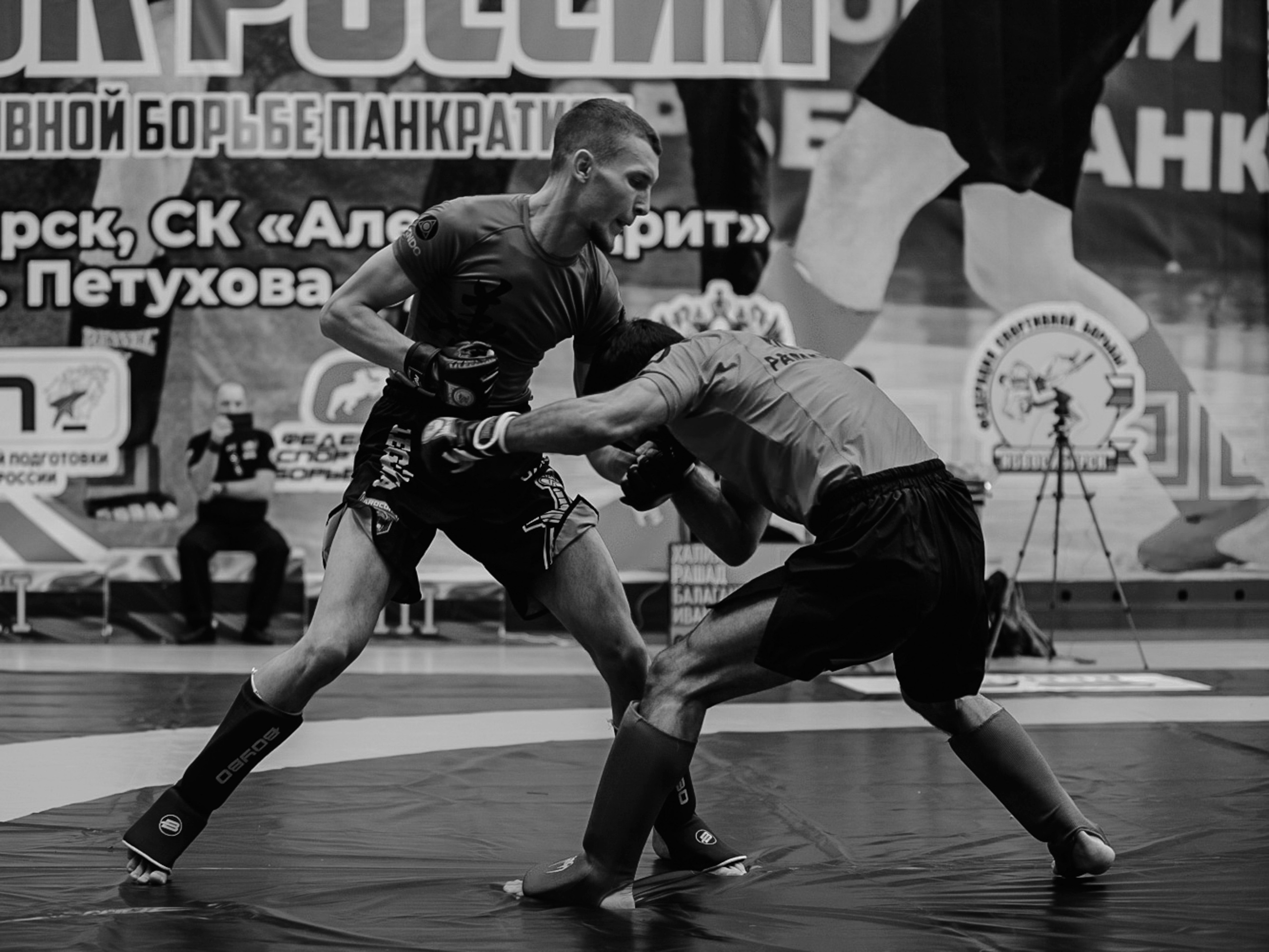 Кубок России по спортивной борьбе панкратион `23. Портретный фотограф в Москве Дарья Цезария