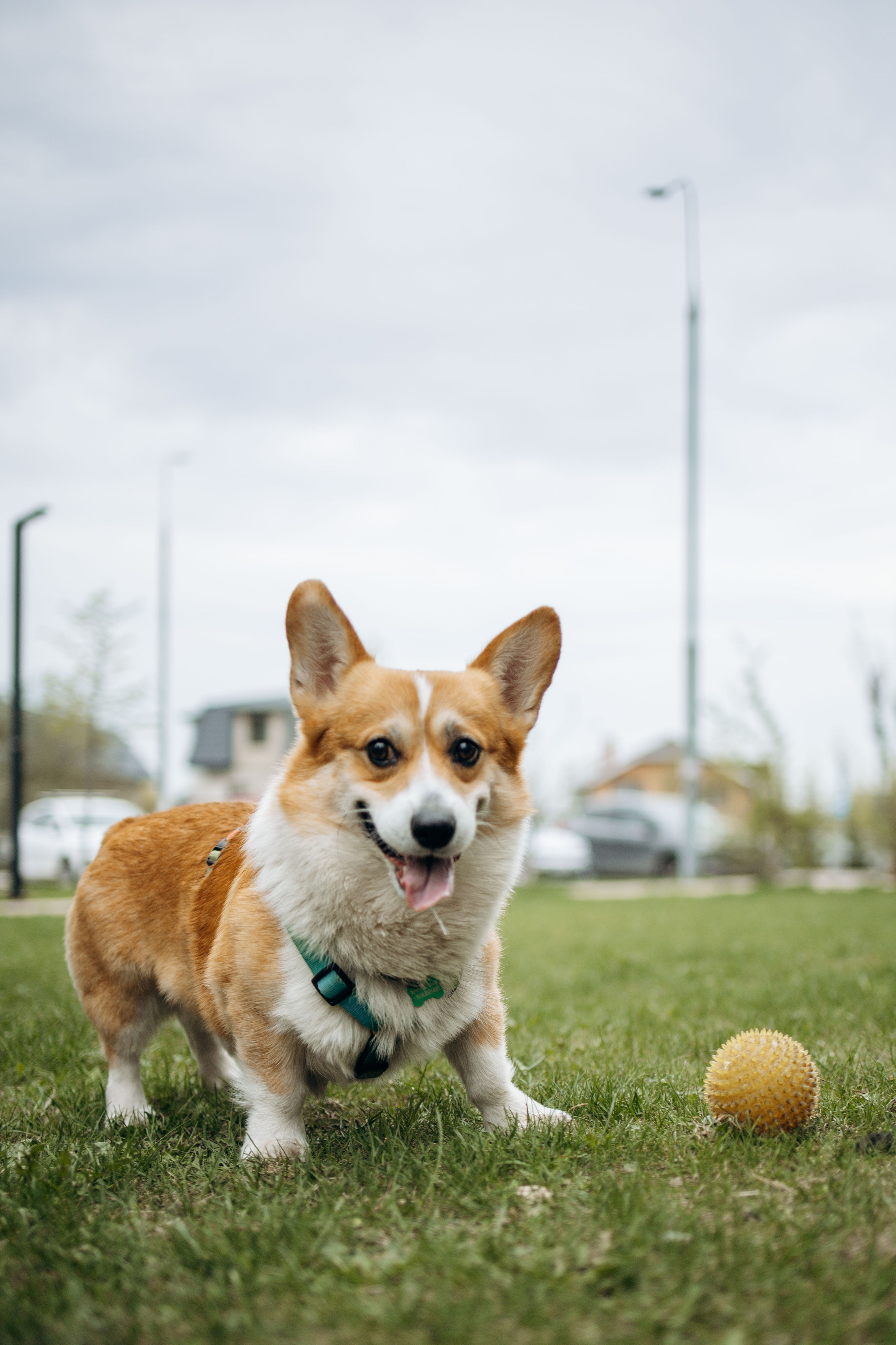 Екатерина и Альфи